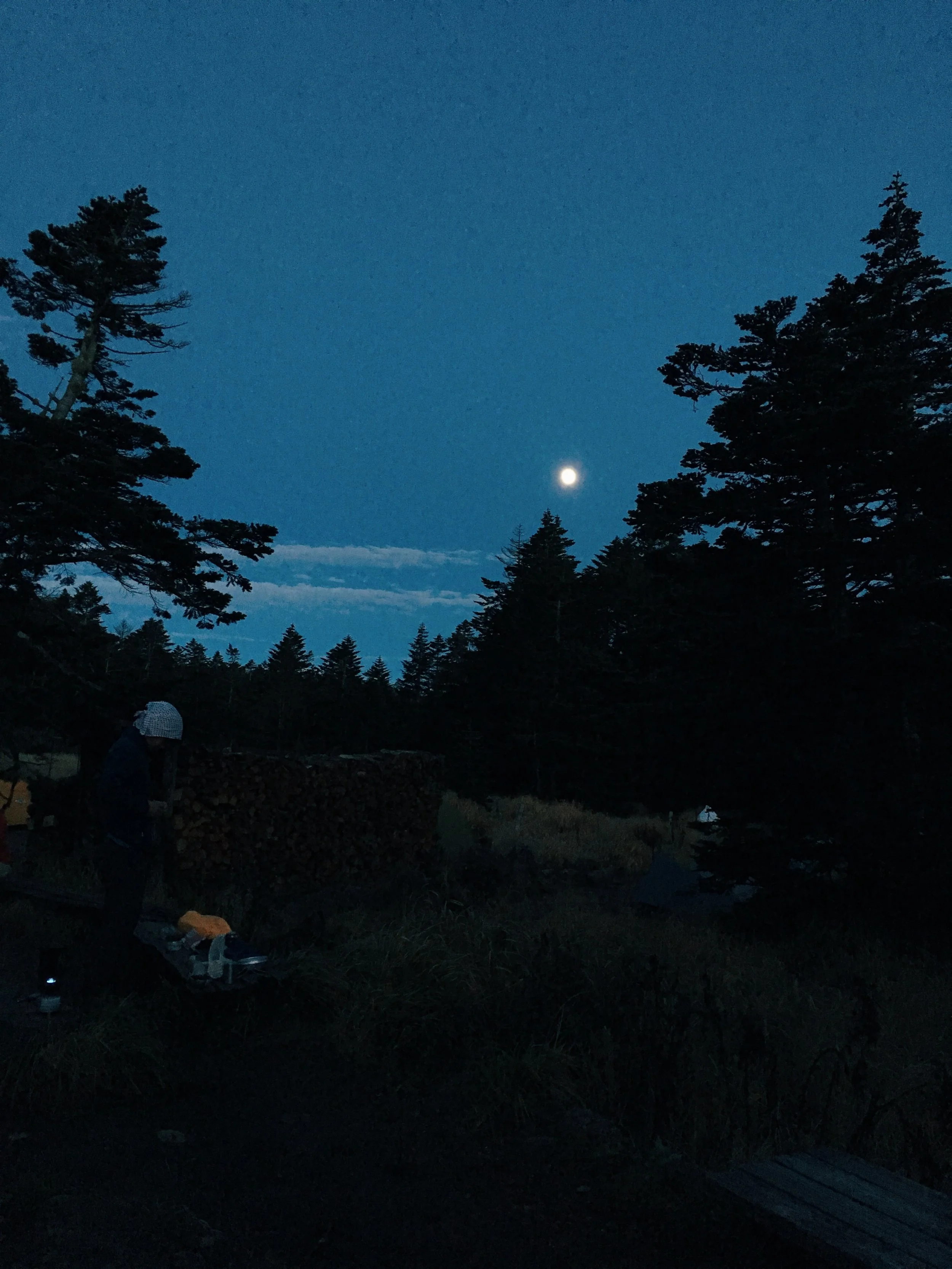 写真 2018-09-22 18 05 19.jpg