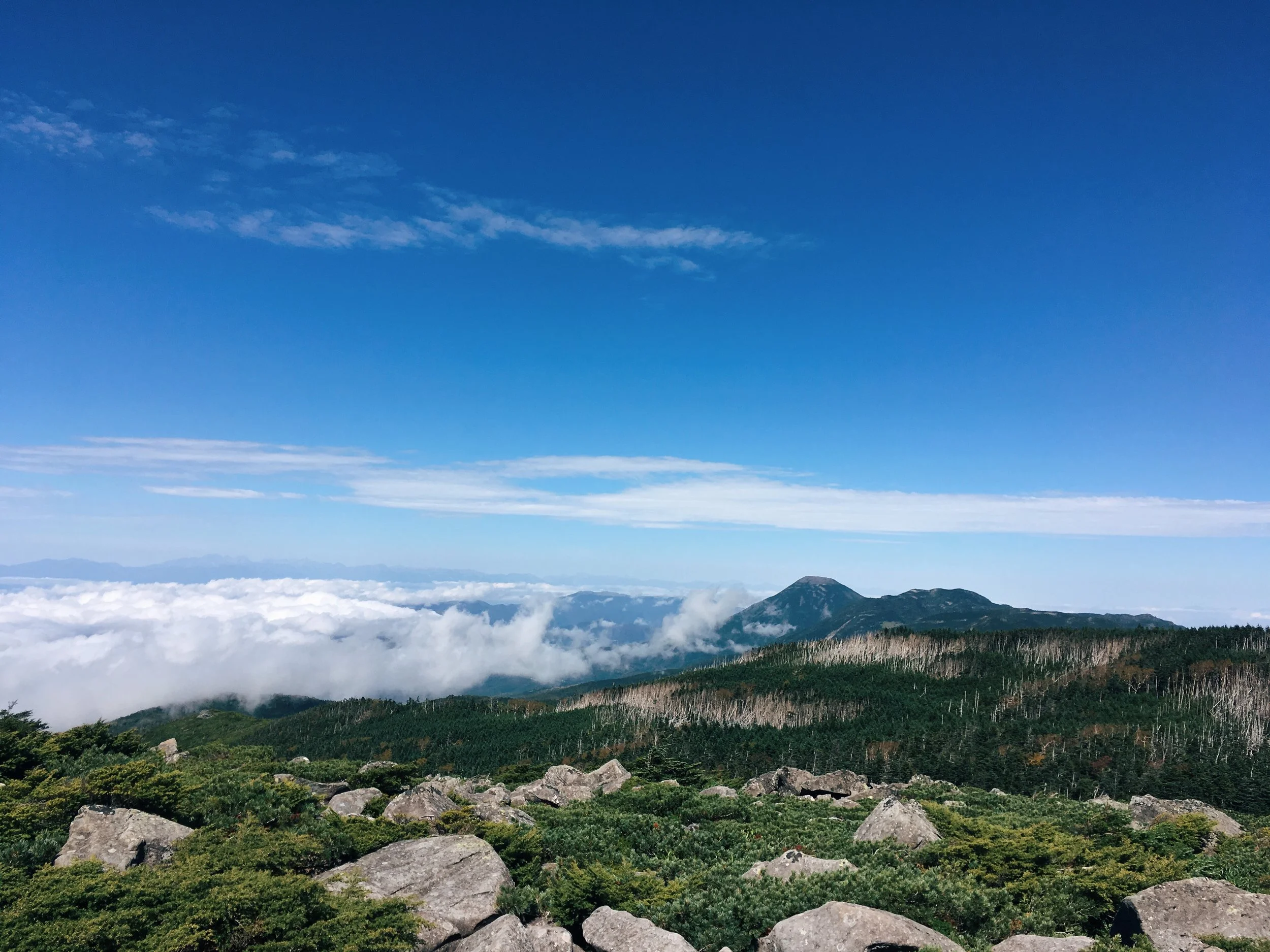 写真 2018-09-23 10 03 24.jpg