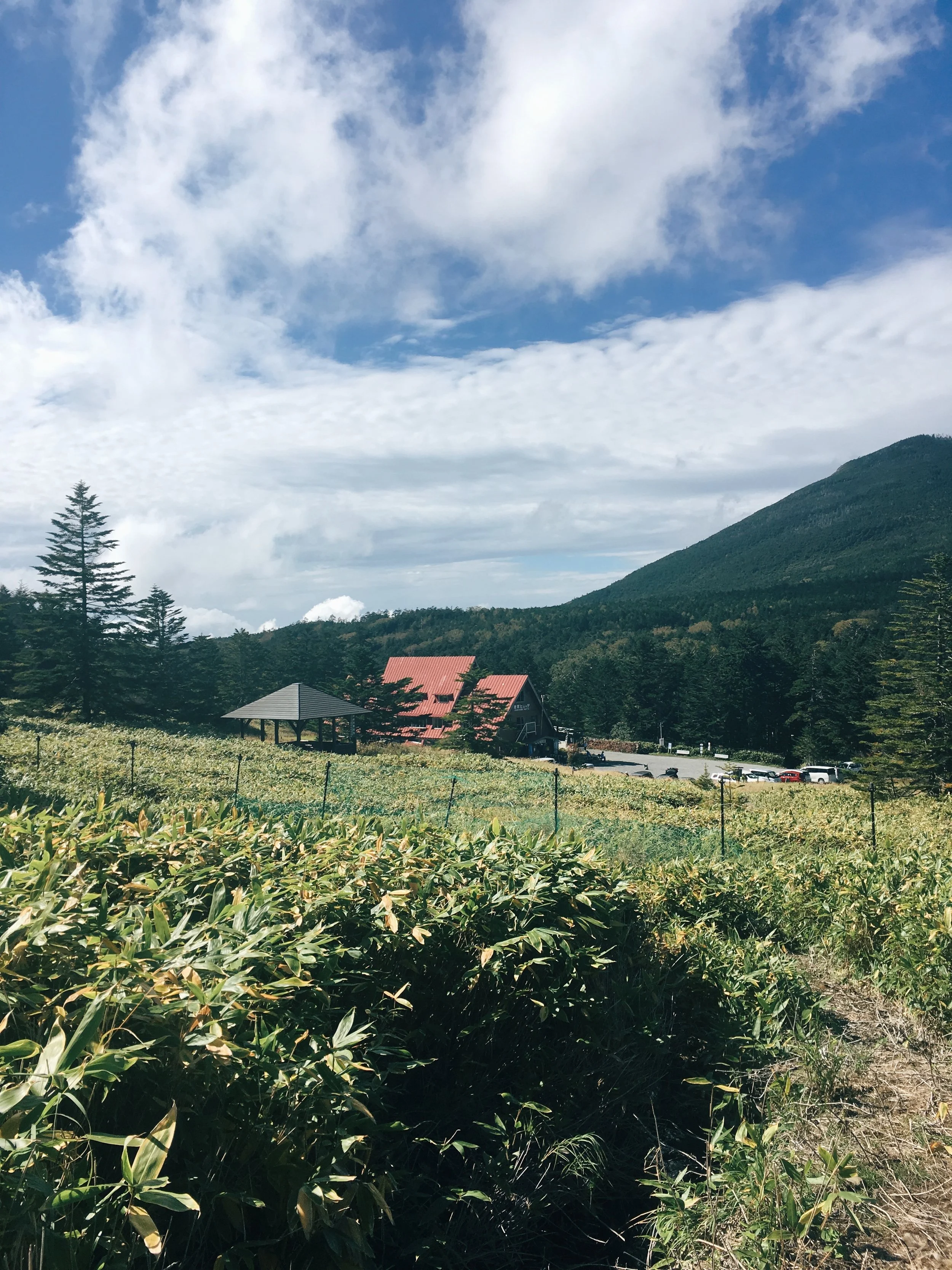 写真 2018-09-23 13 27 16.jpg