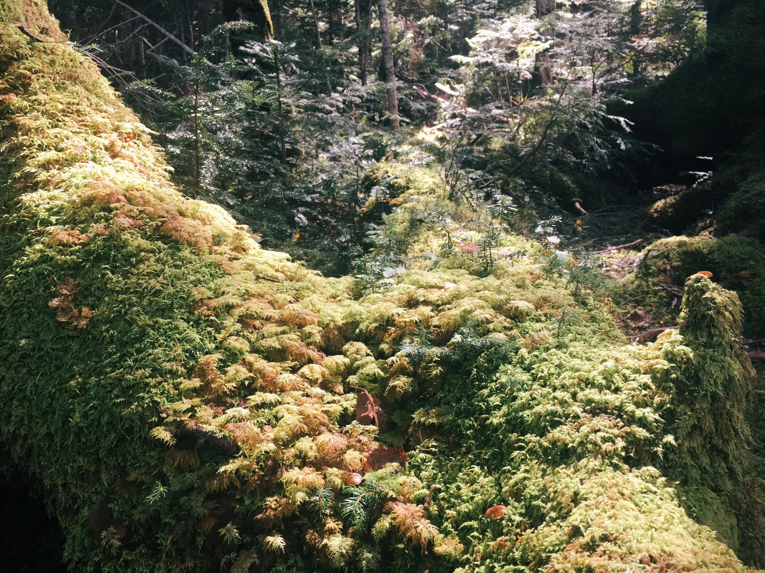写真 2018-09-23 13 02 20.jpg