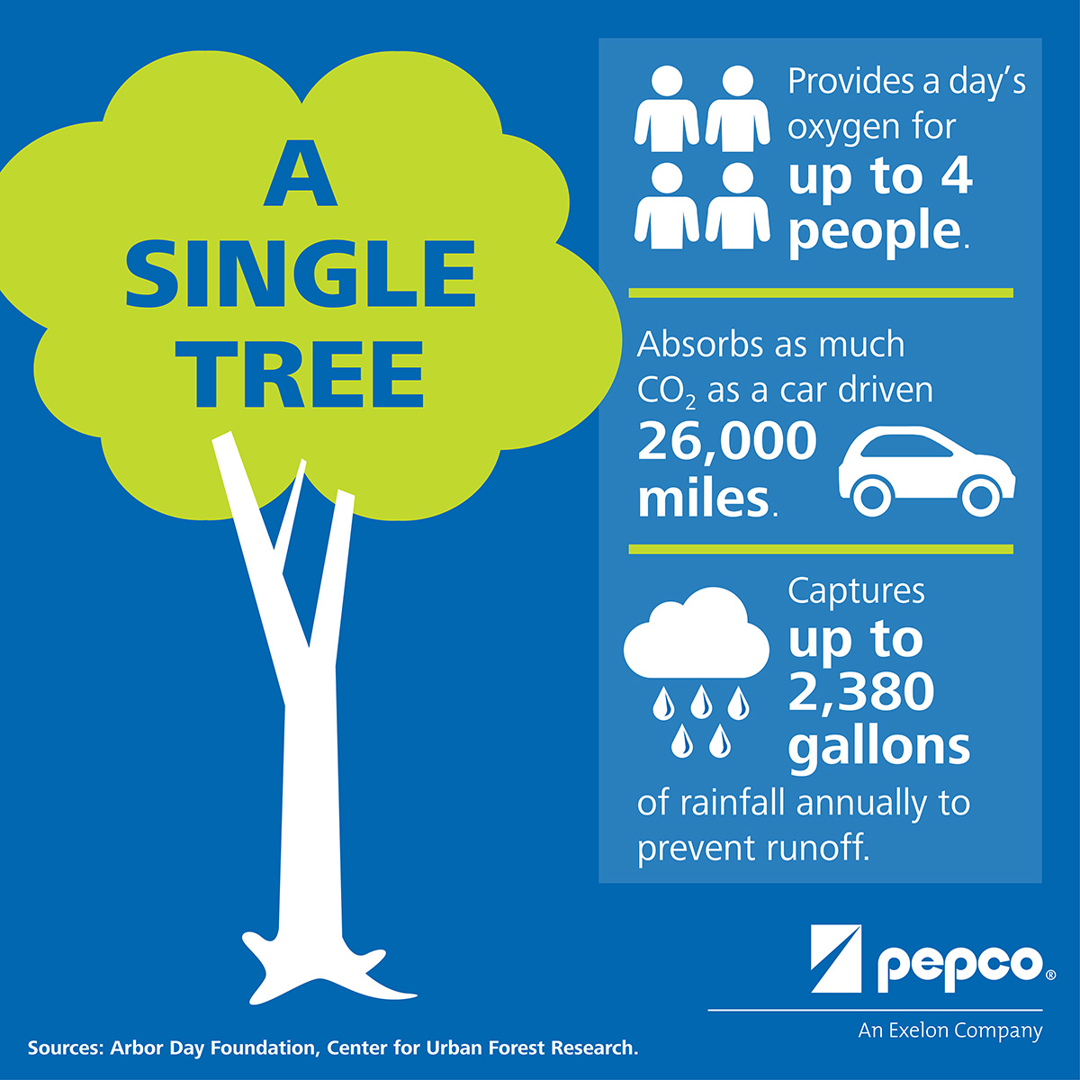 Pepco - Facebook Infographic