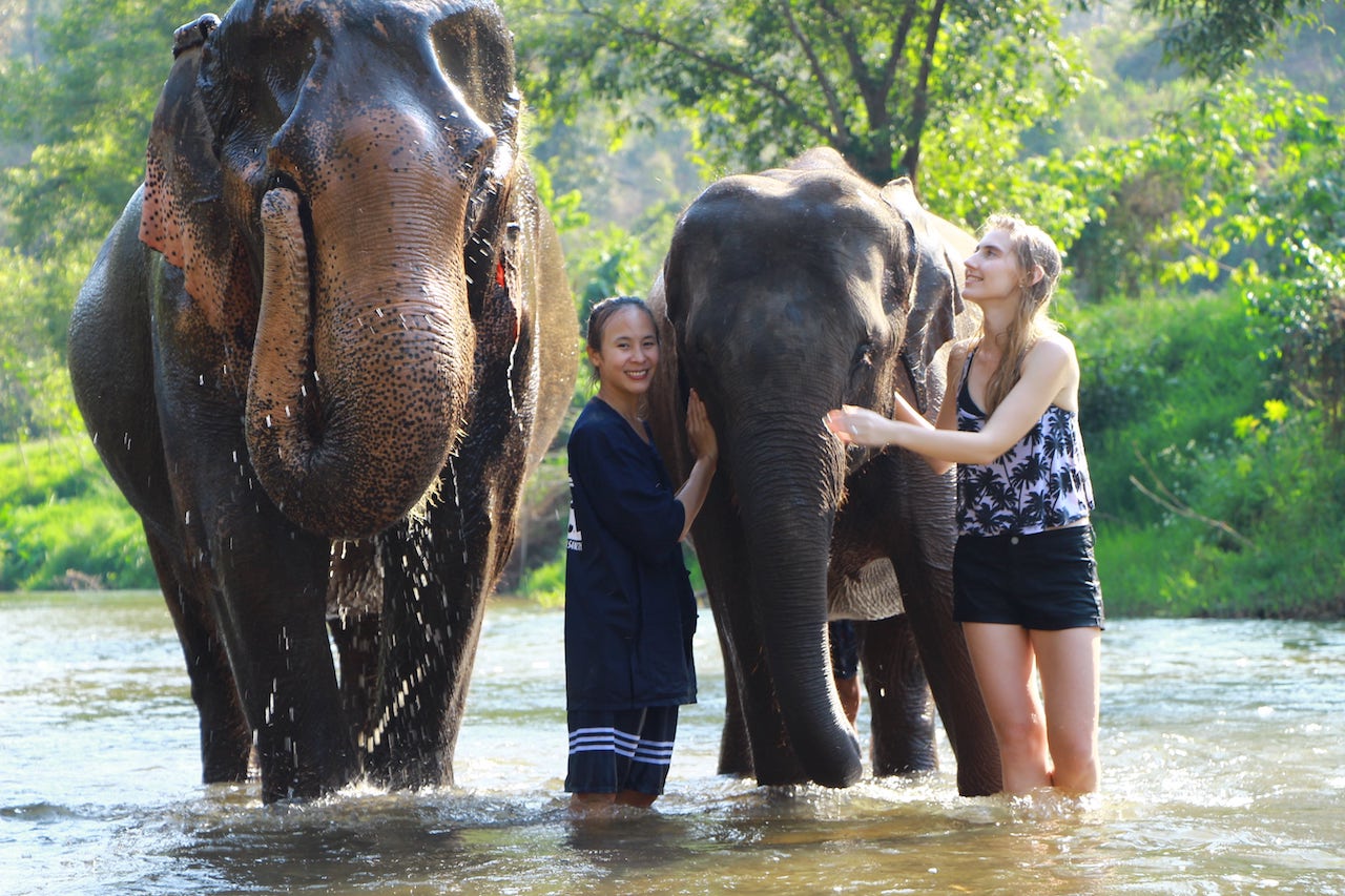 elephant special tours mae wang chiang mai thailand