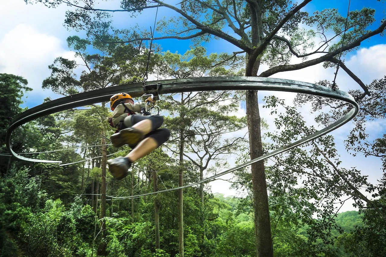 Zipline Jungle Flight