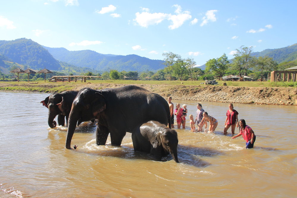 Elephant Sanctuary — PM Tours Blog