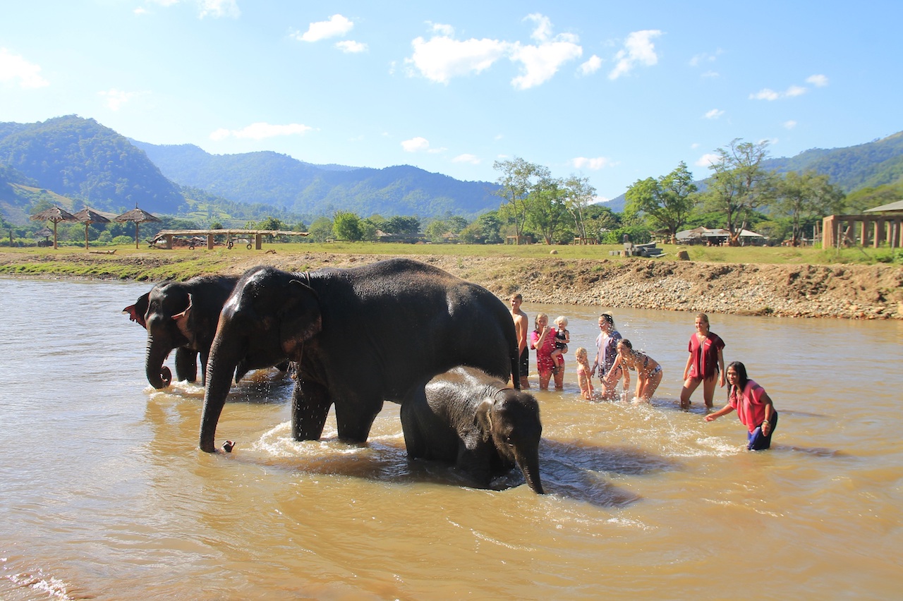 Happy Elephant Home tripadvisor.jpg