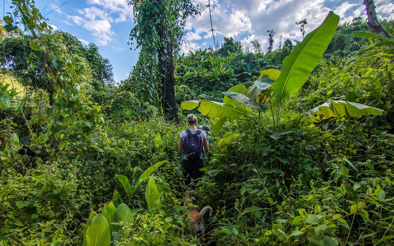 Trekking-through-the-jungle.jpg