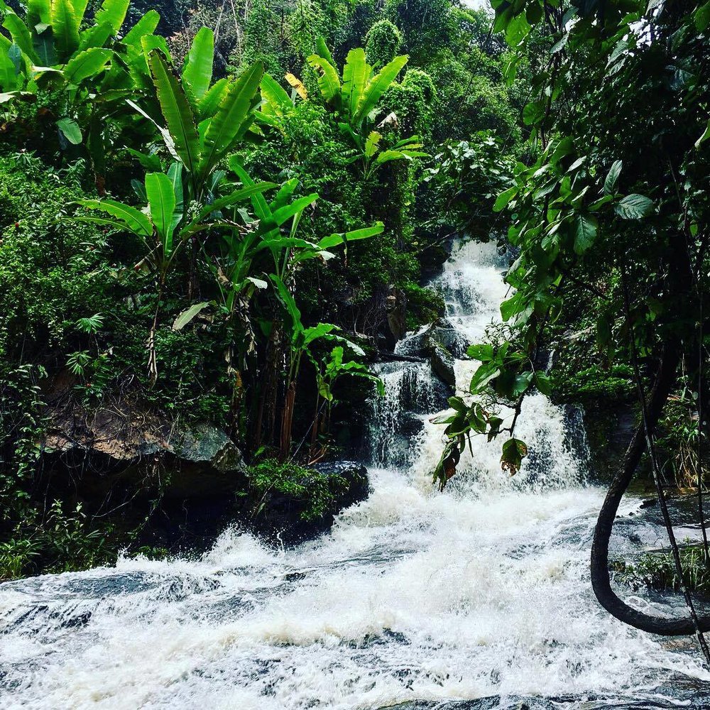 Waterfall in the jungles near Doi Inthanon.jpg