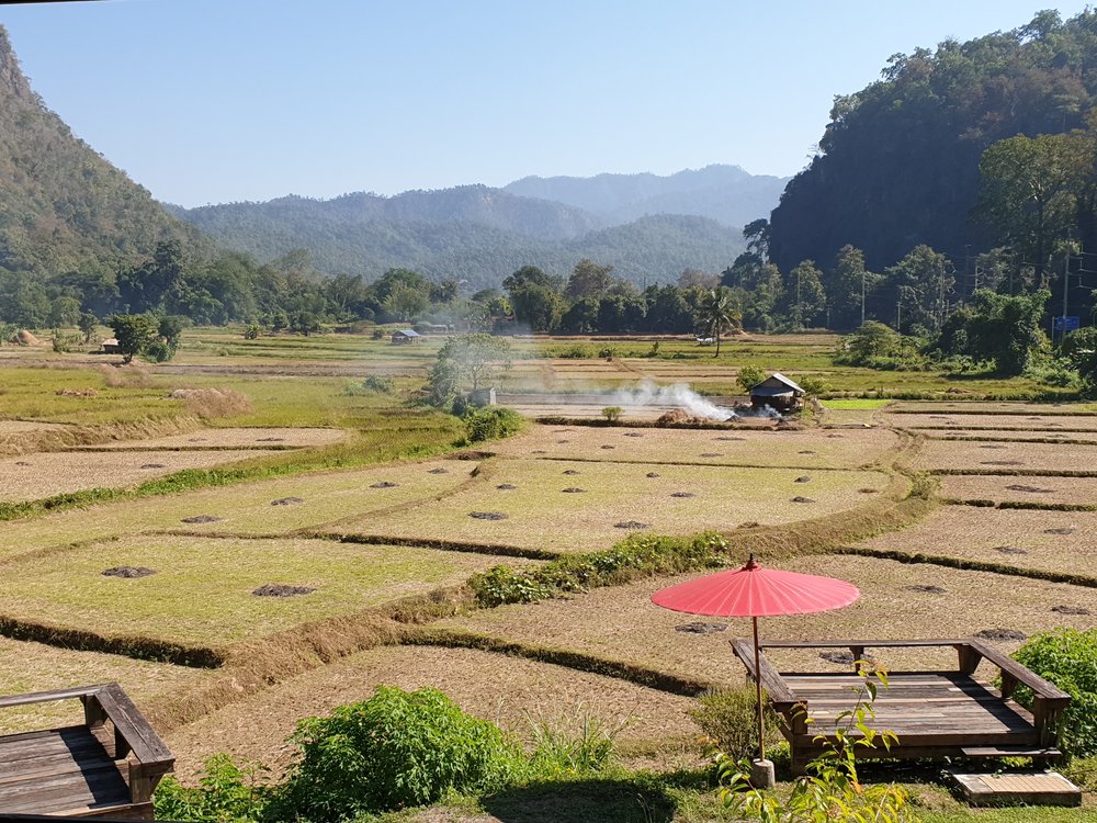 Rice Paddies Pai.jpg