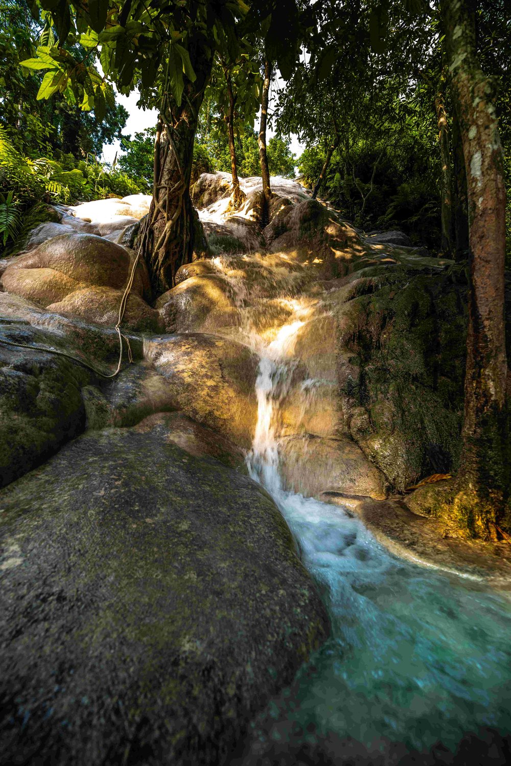 bua-tong-waterfalls-sticky-waterfall-chiang-mai-th-2021-08-26-22-28-31-utc.jpg