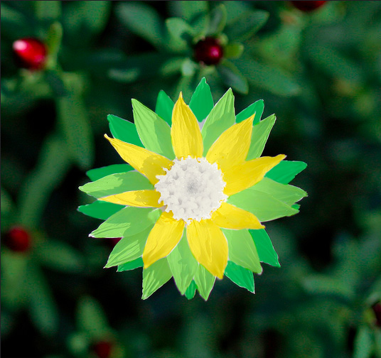 bp-flower-power-1.jpg