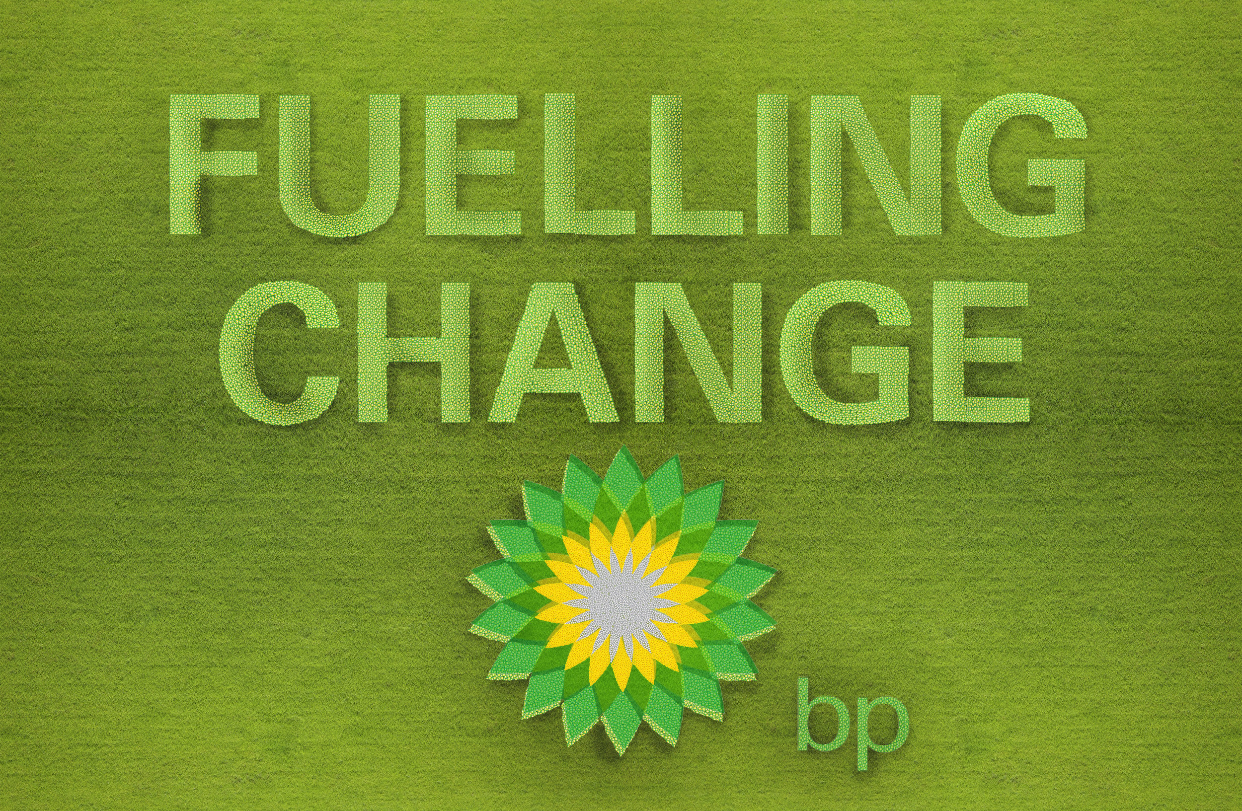 field-advert3-1.jpg