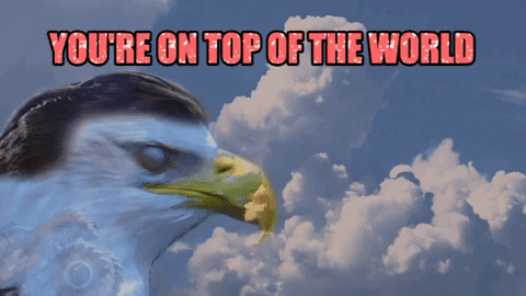 giphy-64.gif