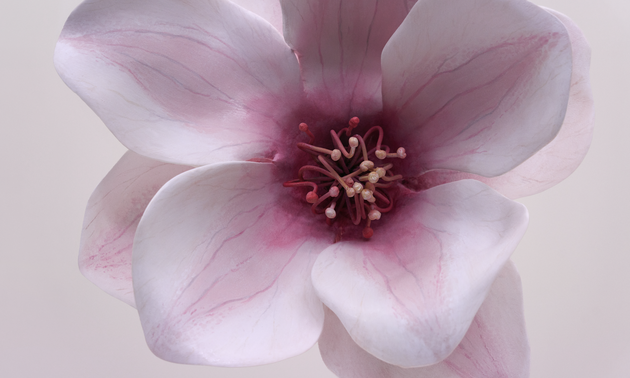 Screenshot 2026-04-06 at 12.55.44.png