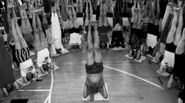 B.K.S. Iyengar 1993