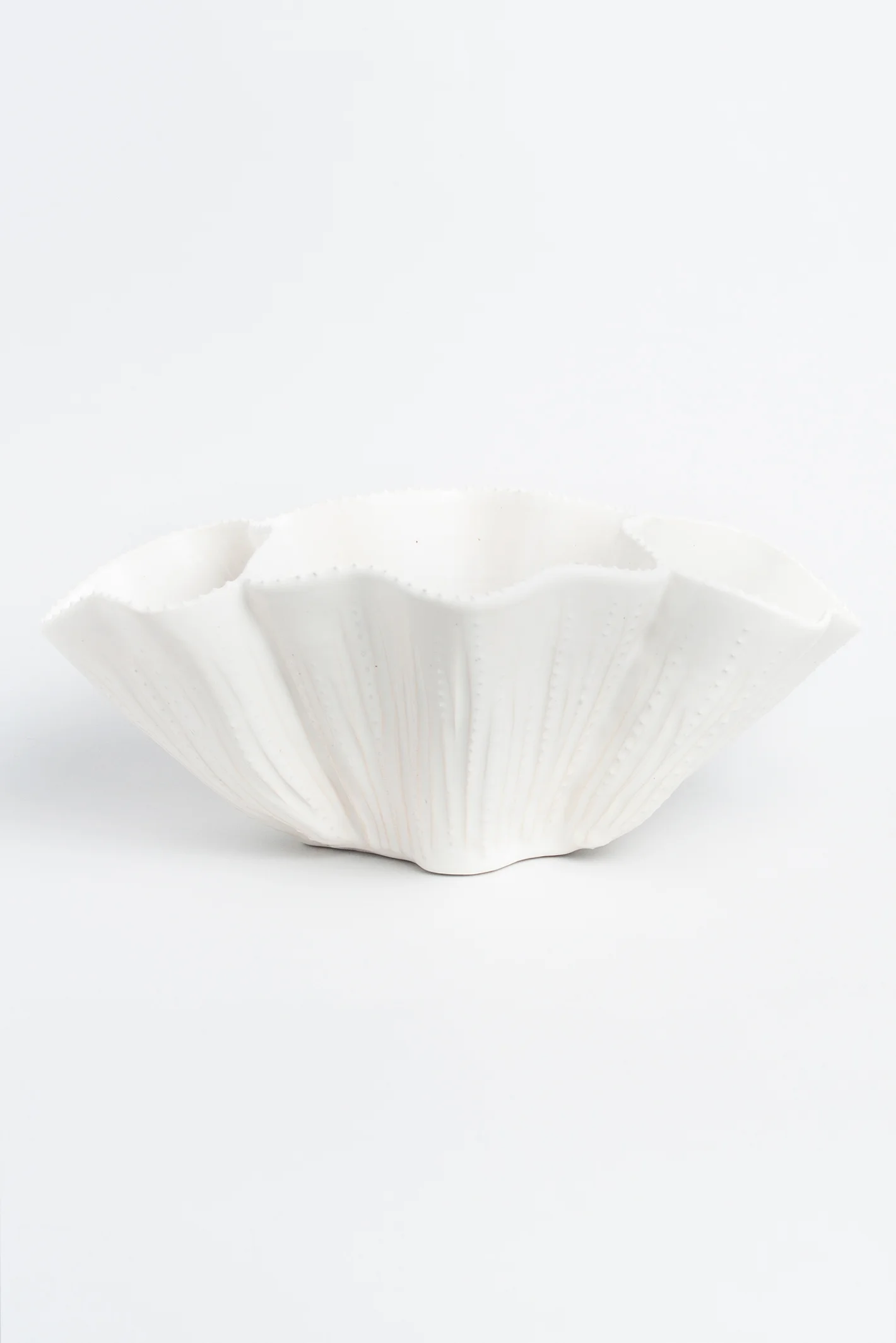 Coral-Planter-White-1.jpg