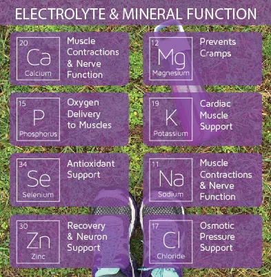 electrolytes.jpg