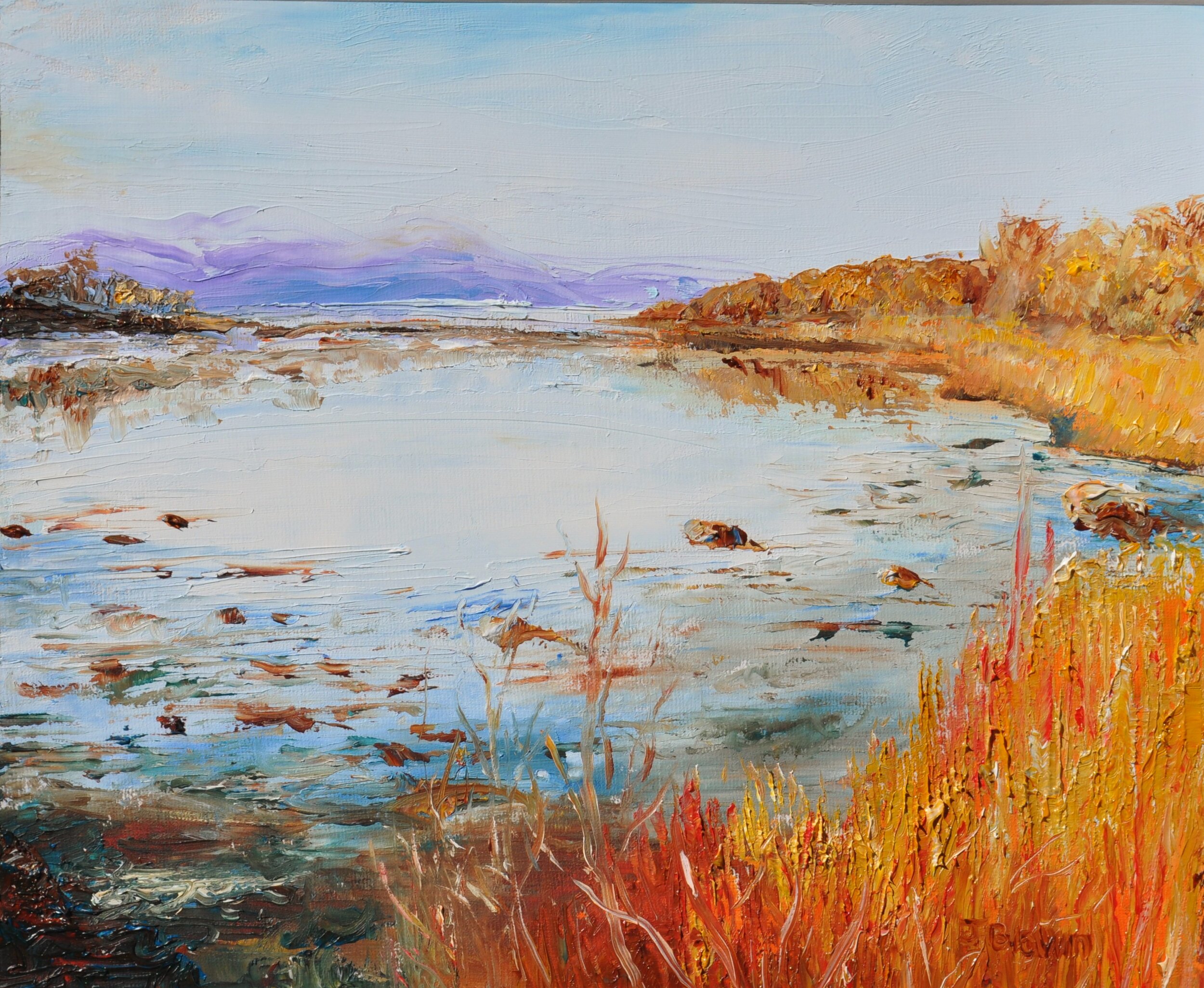 Argyll in Winter 20x30cm  £120