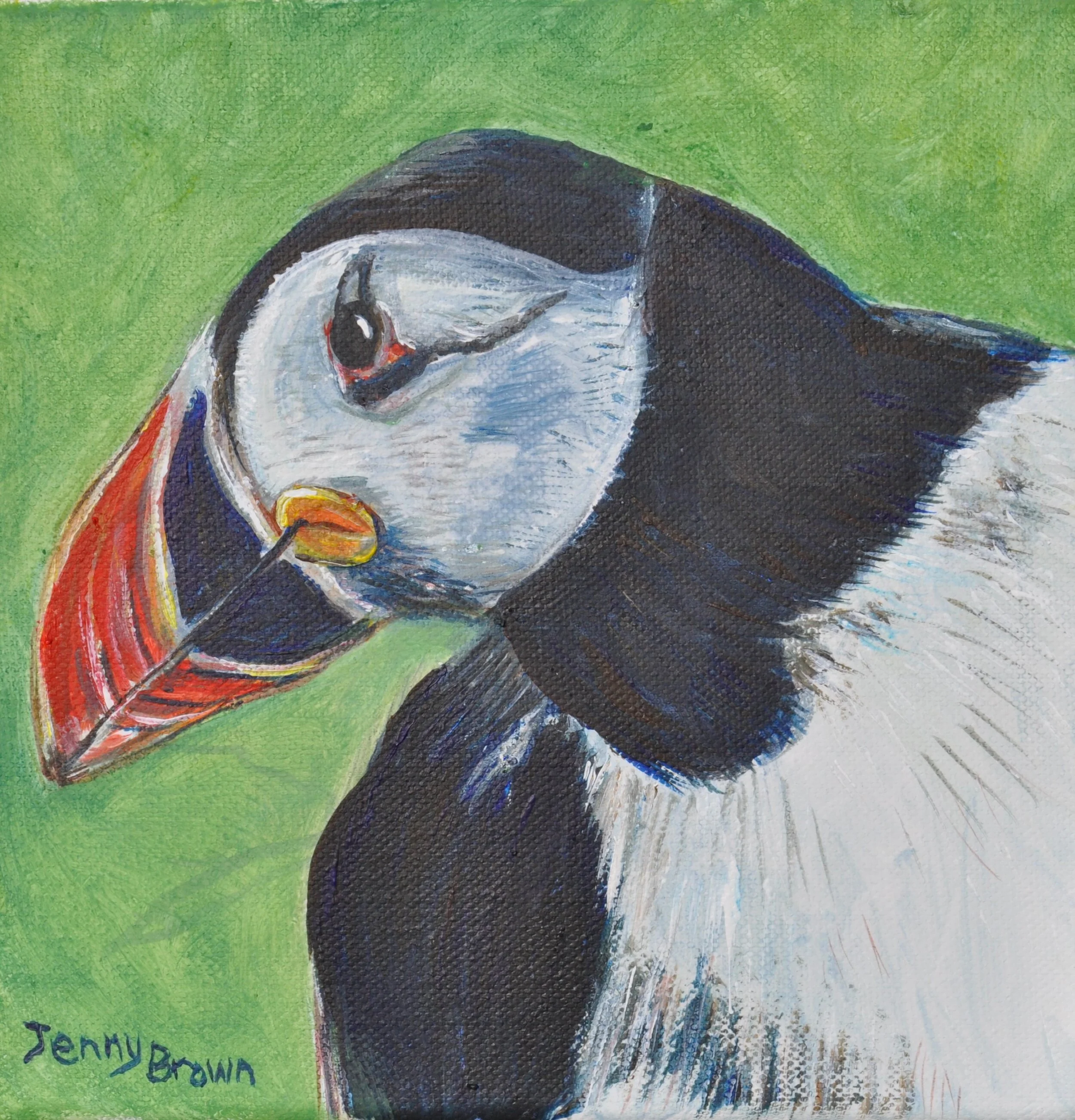 Puffin.JPG