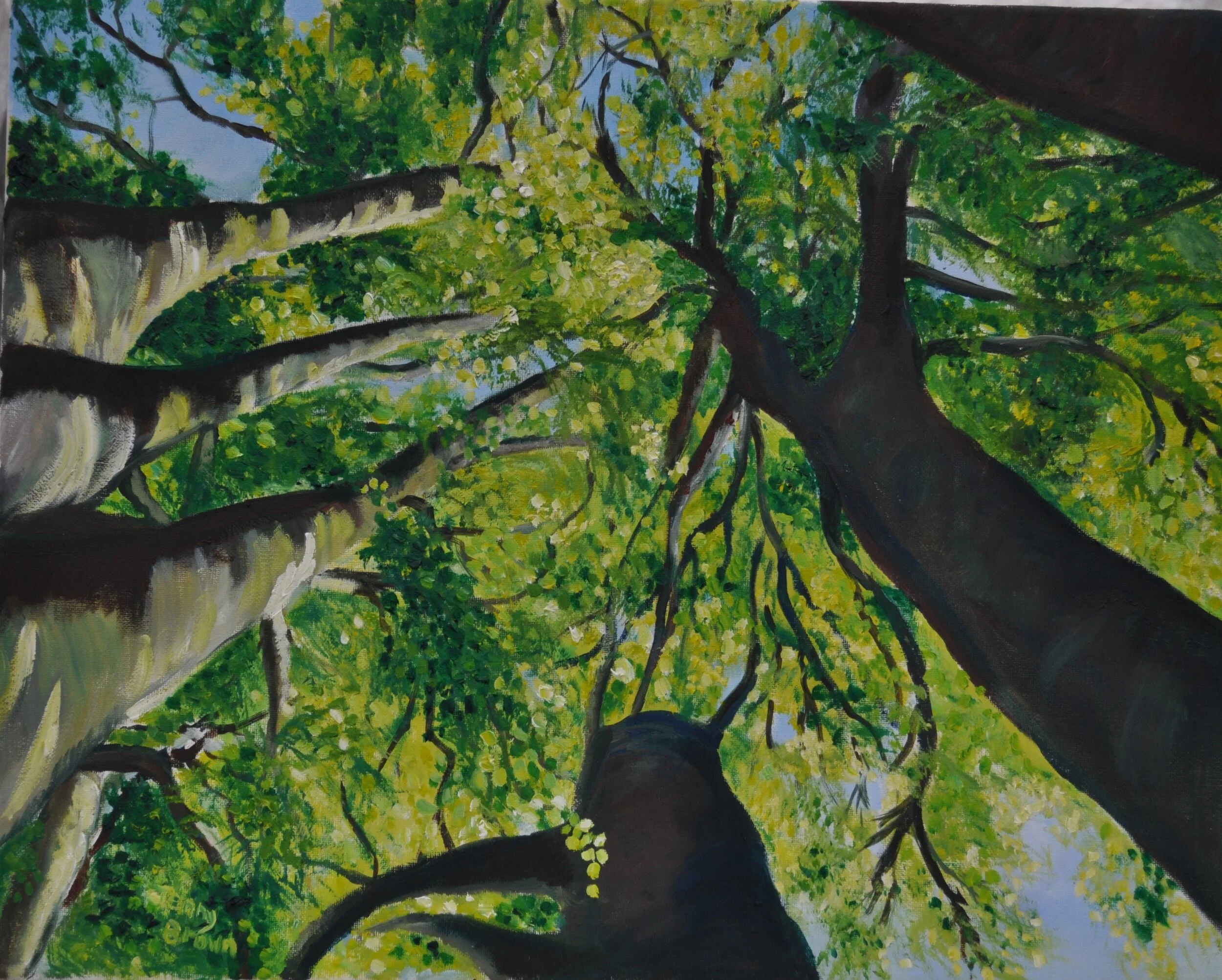 Convergence of Trees.JPG