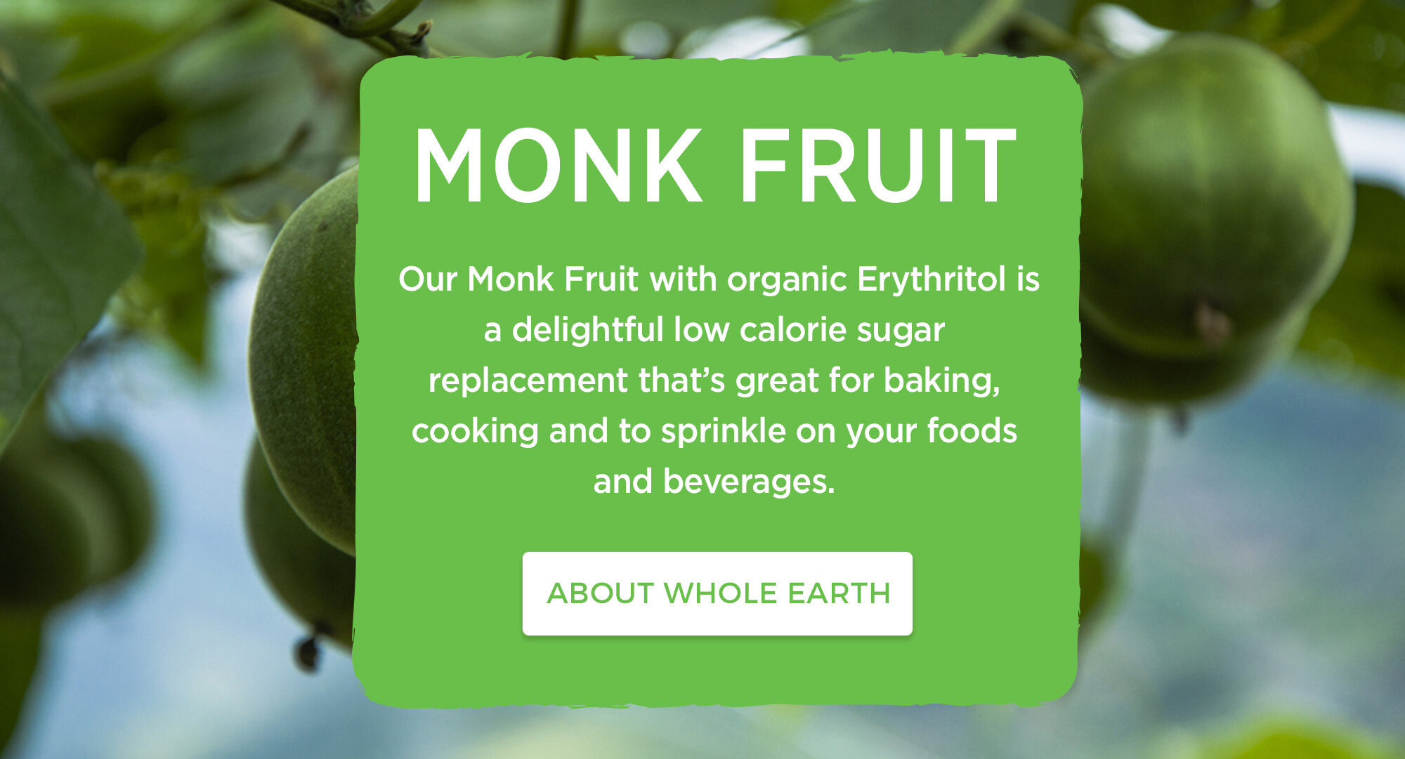 Monk Fruit Banner.jpg