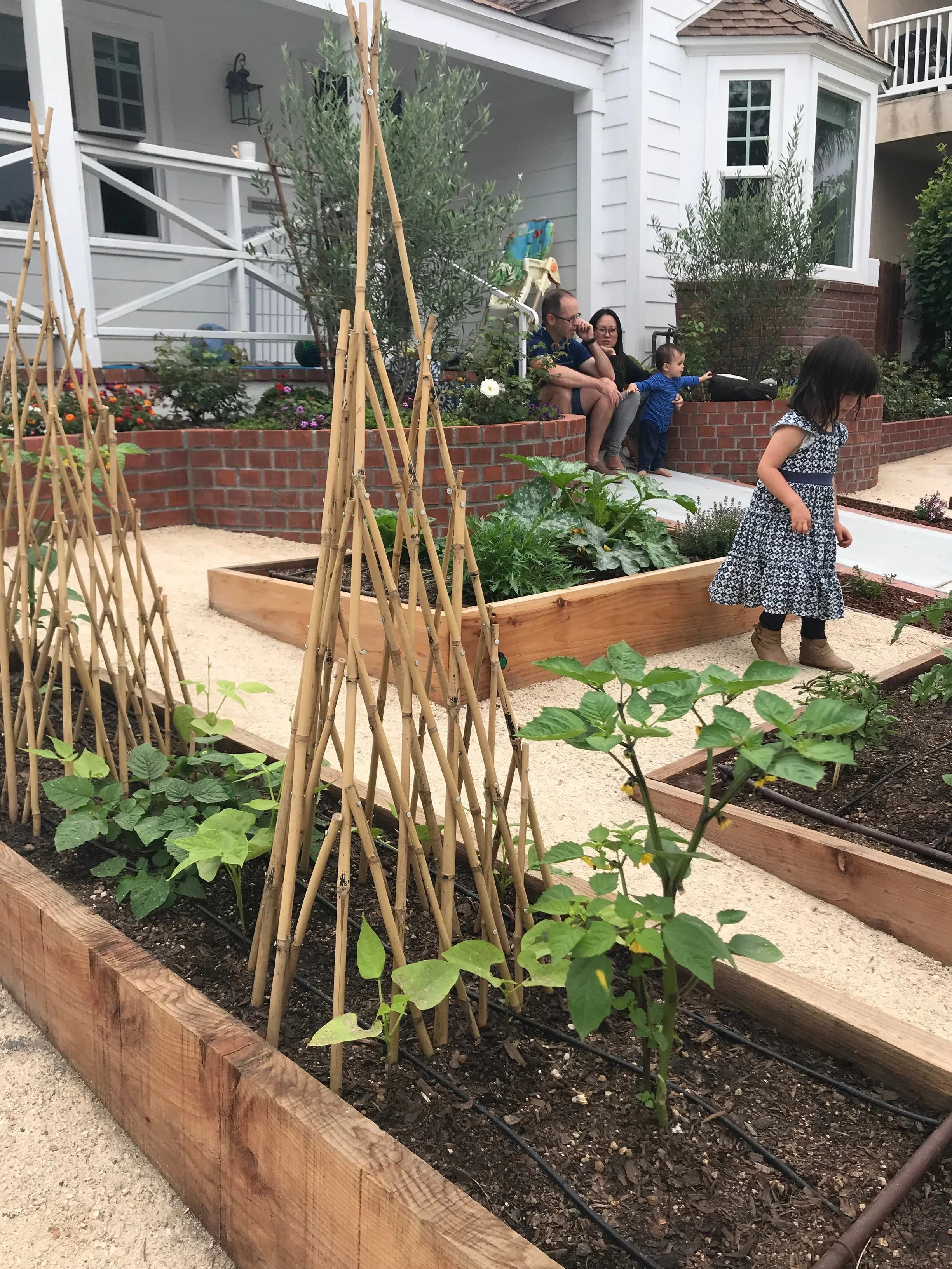 Our new garden partners enjoying their beautiful bounty together