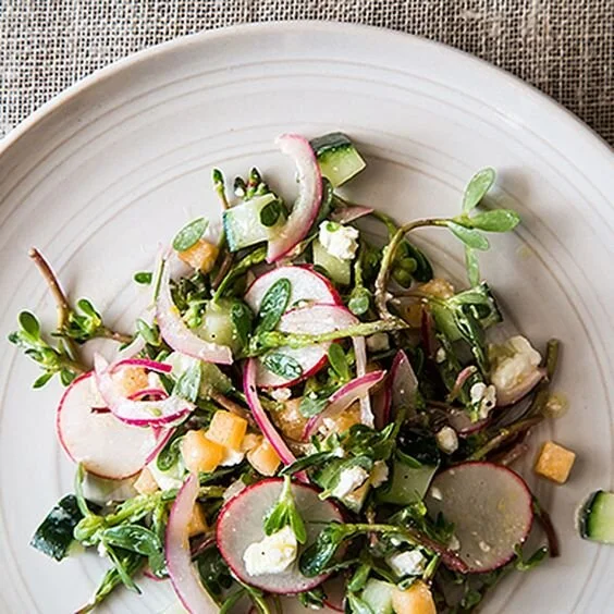 Purslane Summer Salad