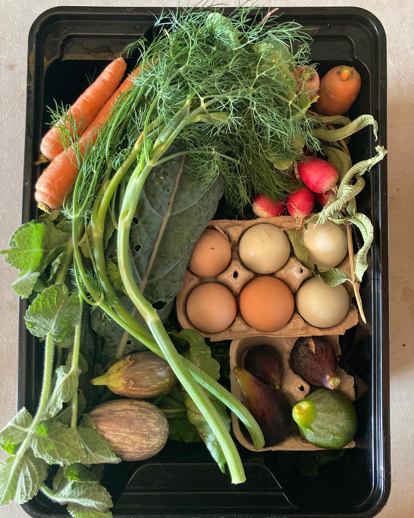 Harvest delivery 6/8-9 #carrots #kale #radish #eggs #mint #lettuce #eggplant #onion #zuchinni #beets #chard #lemonsorrell #kumquats #strawberryguava #figs #basil #dill Thank you to all our Gracious Neighbors for sharing your surplus harvest and woild