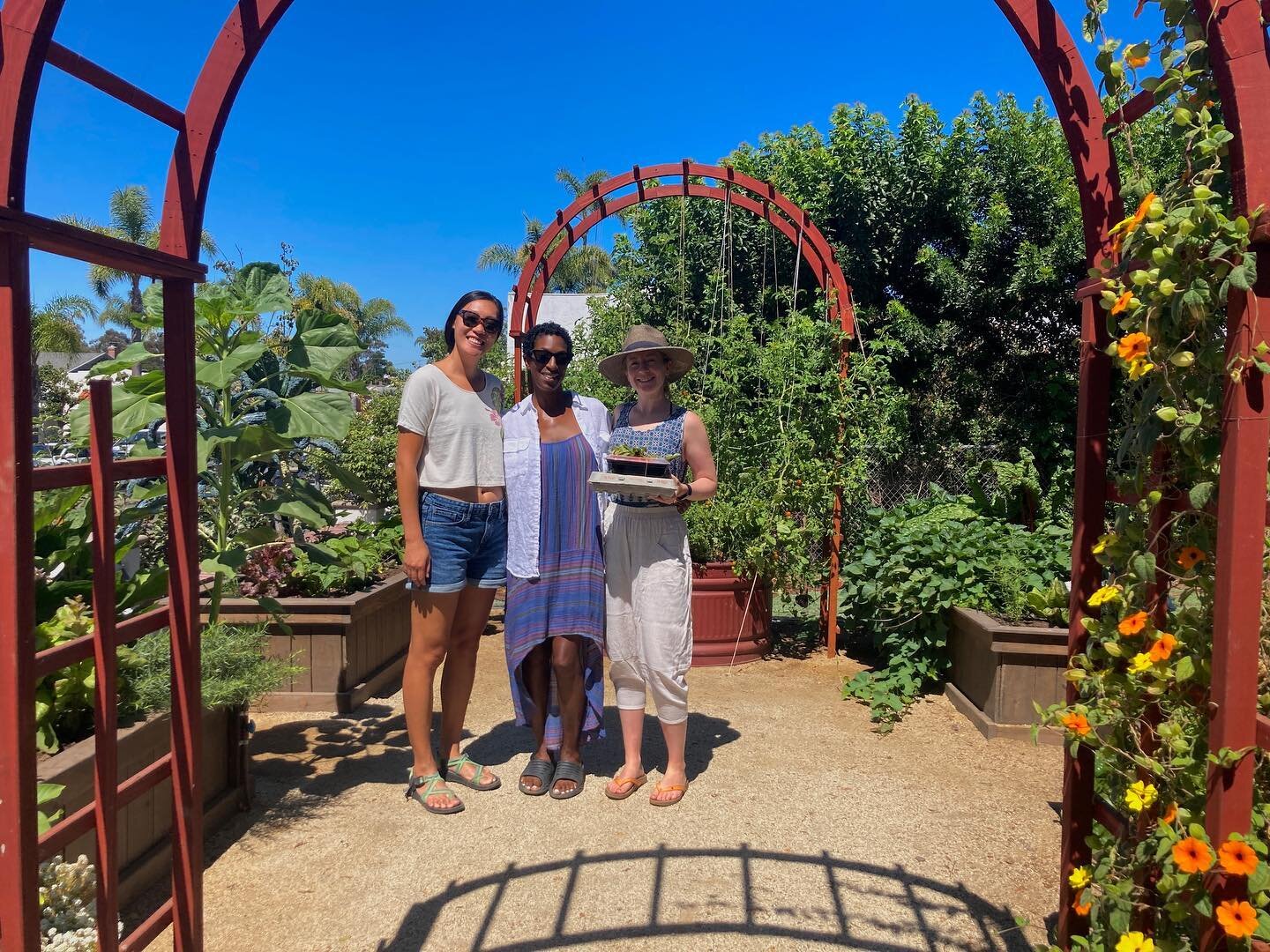 My sweet 2020 roomies came back home for a make a harvest brunch.  It was so lovely to gather basil, chard and borrow eggs from our lovely neighbors @meliss_gal and @acolavin to enjoy.  Fresh peaches from the tree we planted and tended from our @grac