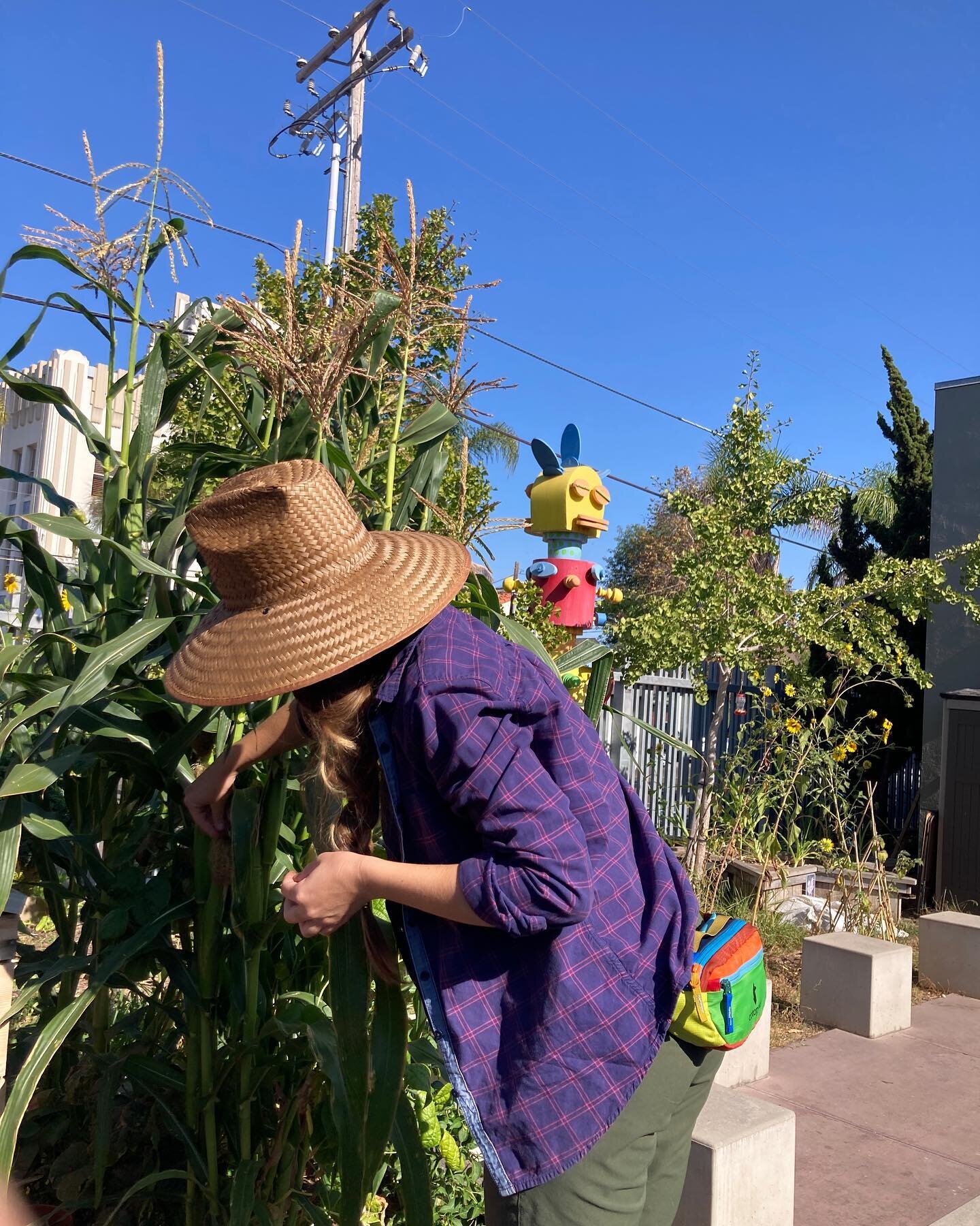 My first session with our Soulful Green Practice apprentice, Meghan yesterday.  She&rsquo;s a great student, and has the same level of love for gardening as I do, so it was fun to work alongside her!  She&rsquo;s an emergency medical physician, so I&