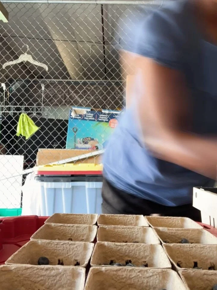 It&rsquo;s a privilege to lovingly curate harvest boxes twice a month for our #goodneighbor subscribers. Neighbors graciously sharing their surplus harvest make these beautiful bounty boxes a blessing to folks who want eat well and share the love wit