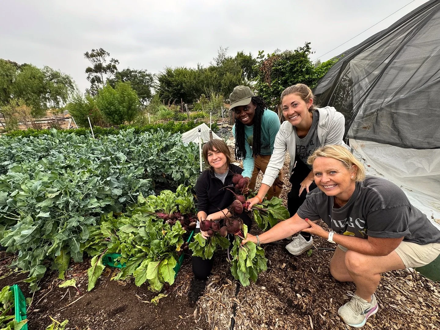 Our lovely Soulful Green Practitioners at their Row Cropping + Tools session with local organic farm @ranchito.milkyway.farmstand 🌱

For 2 hours a week for a month, our SGPs learn all the basics of how to successfully grow food in the city over a se