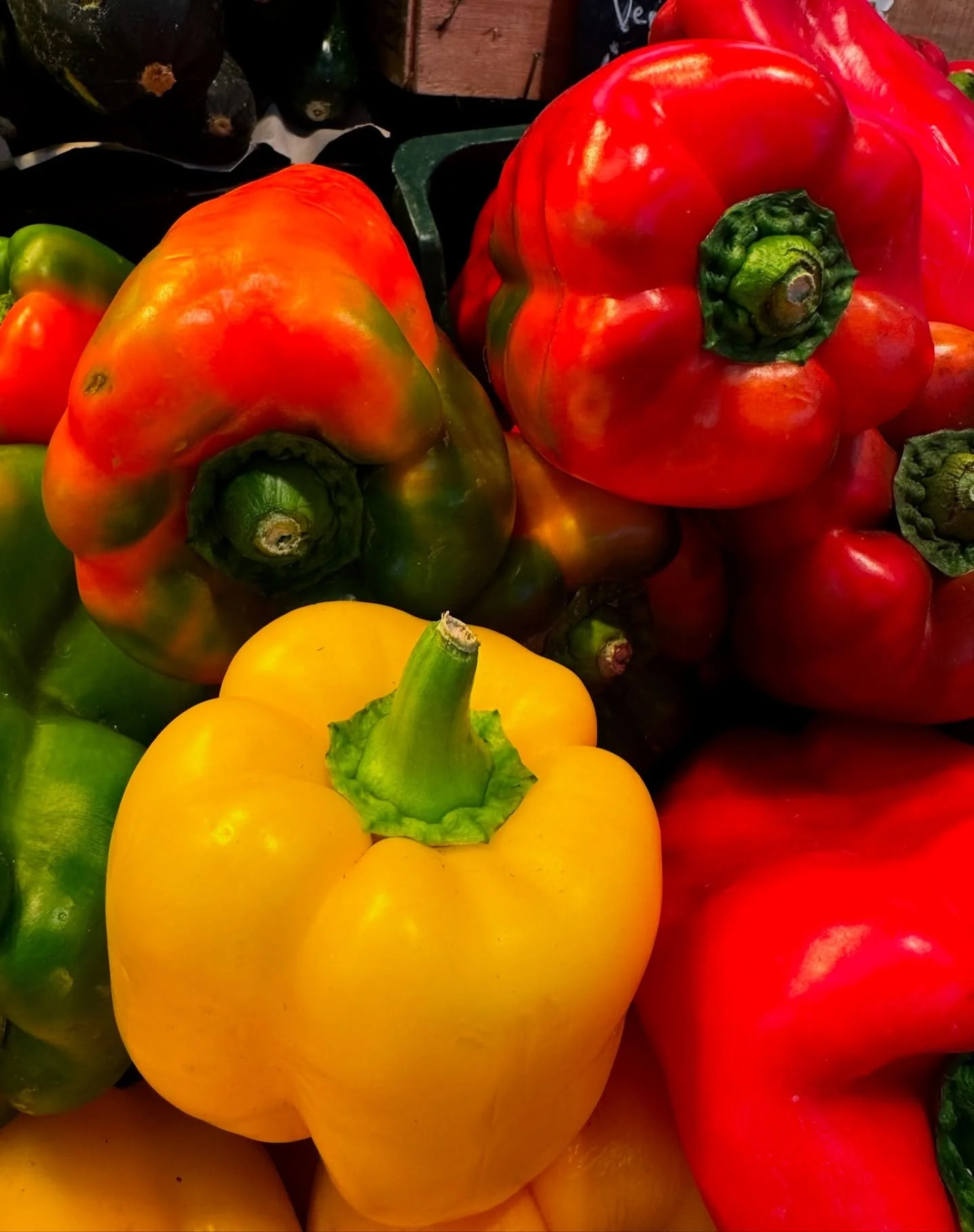 Lovin these summer colors and flavors 😍🫑🌶️

#0waste&nbsp;#urbanfarming&nbsp;#urbanfarm&nbsp;#sustainability&nbsp;#sandiego&nbsp;#sandiegofood&nbsp;#sandiegourbansharecrop&nbsp;#communitygarden&nbsp;#gardening&nbsp;#1bigfarm&nbsp;#socal&nbsp;#sandi