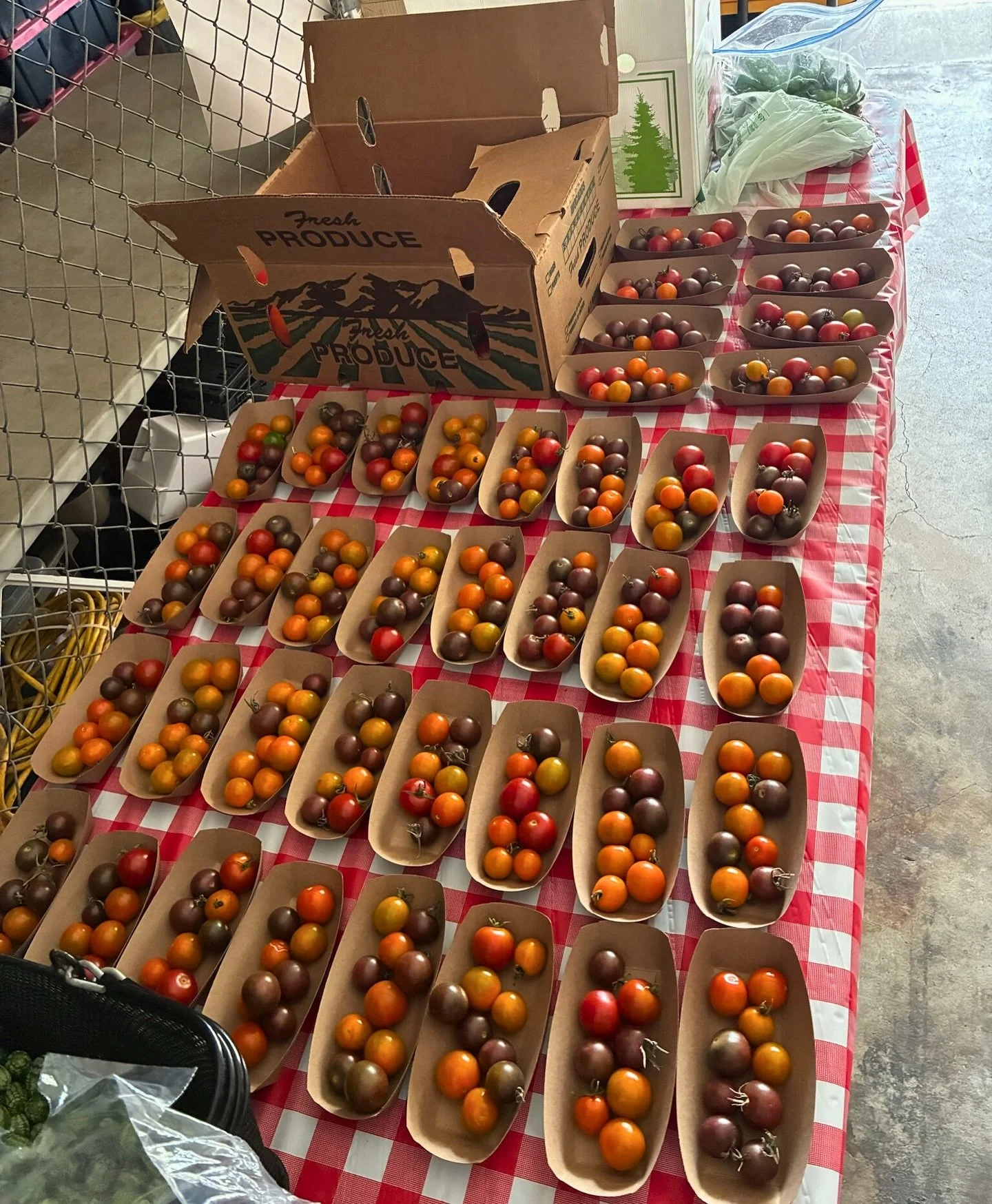 Happy #distributionday 🍅

#0waste&nbsp;#urbanfarming&nbsp;#urbanfarm&nbsp;#sustainability&nbsp;#sandiego&nbsp;#sandiegofood&nbsp;#sandiegourbansharecrop&nbsp;#communitygarden&nbsp;#gardening&nbsp;#1bigfarm&nbsp;#socal&nbsp;#sandiegoliving #schoolgar