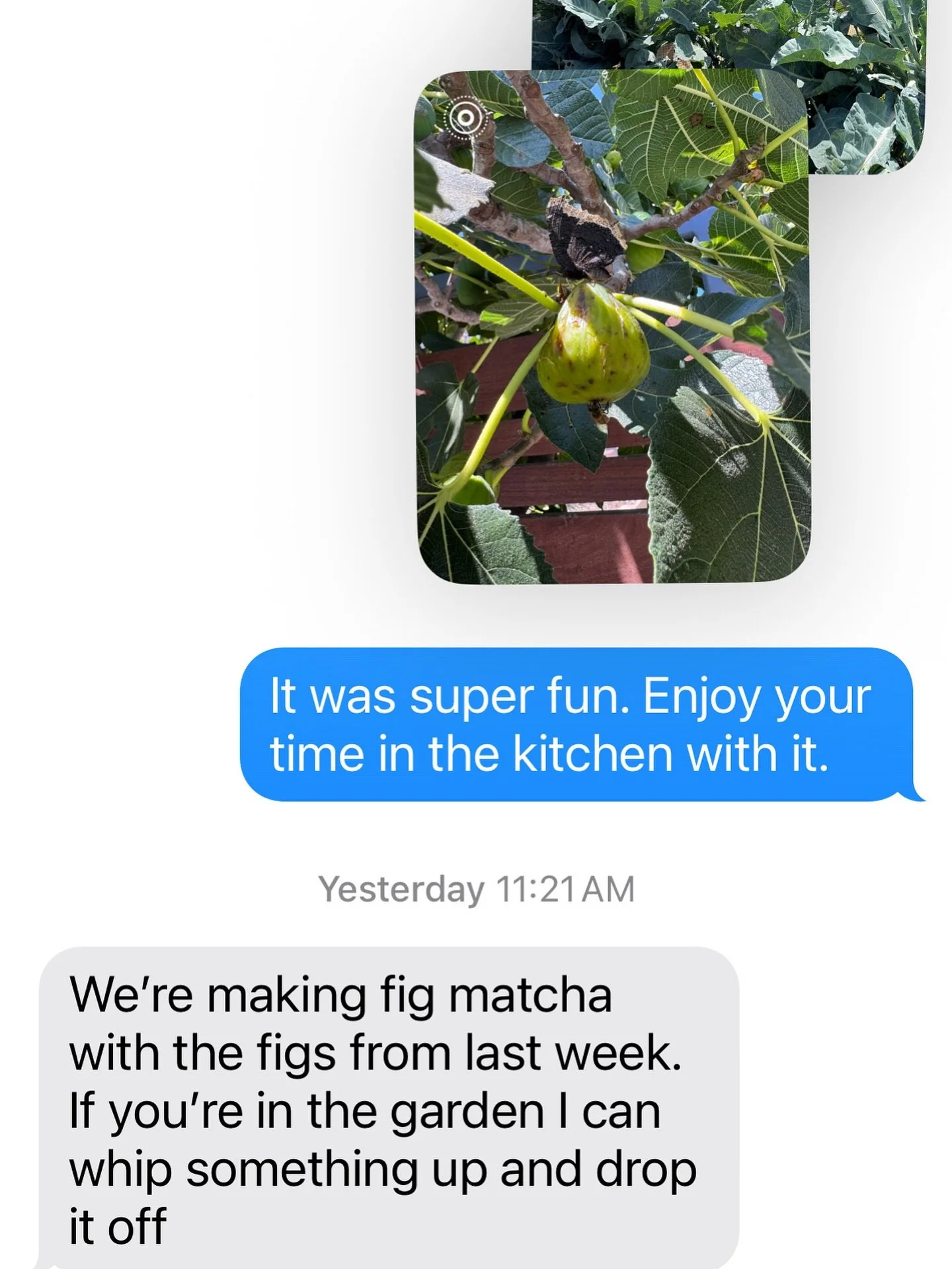 A message from our neighbor who helped us harvest figs for our last distribution. We 💚 our neighbors who carry our same ethics of sharing and caring for one another! 

Check out our website to learn more about volunteer opportunities such as this on