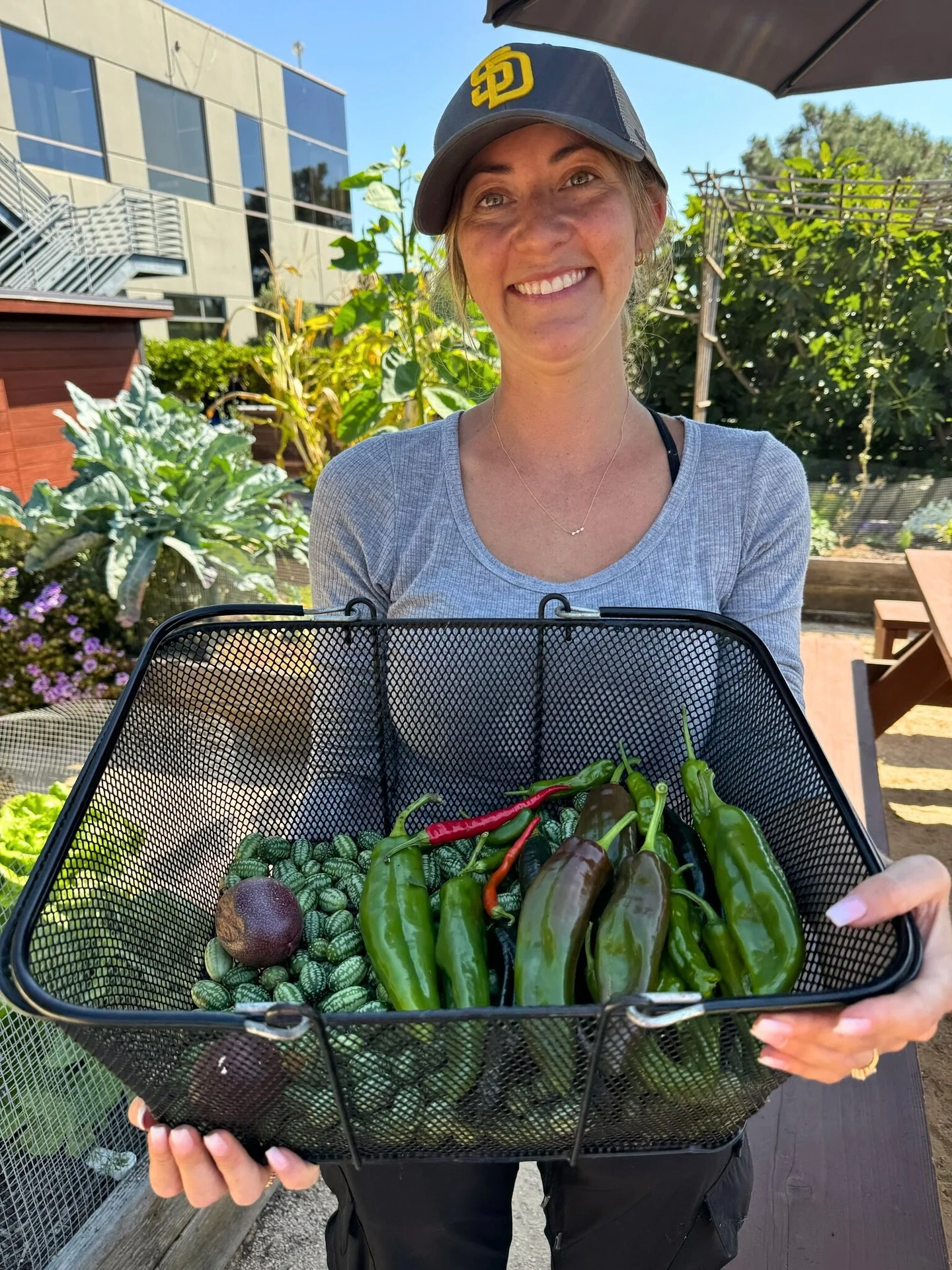 The new volunteer page on our website is live! If you&rsquo;ve wanted to get involved with GNG but didn&rsquo;t know how, here&rsquo;s your chance. Whether it&rsquo;s harvesting fruit that&rsquo;s about to fall, helping with the distribution of CSA b