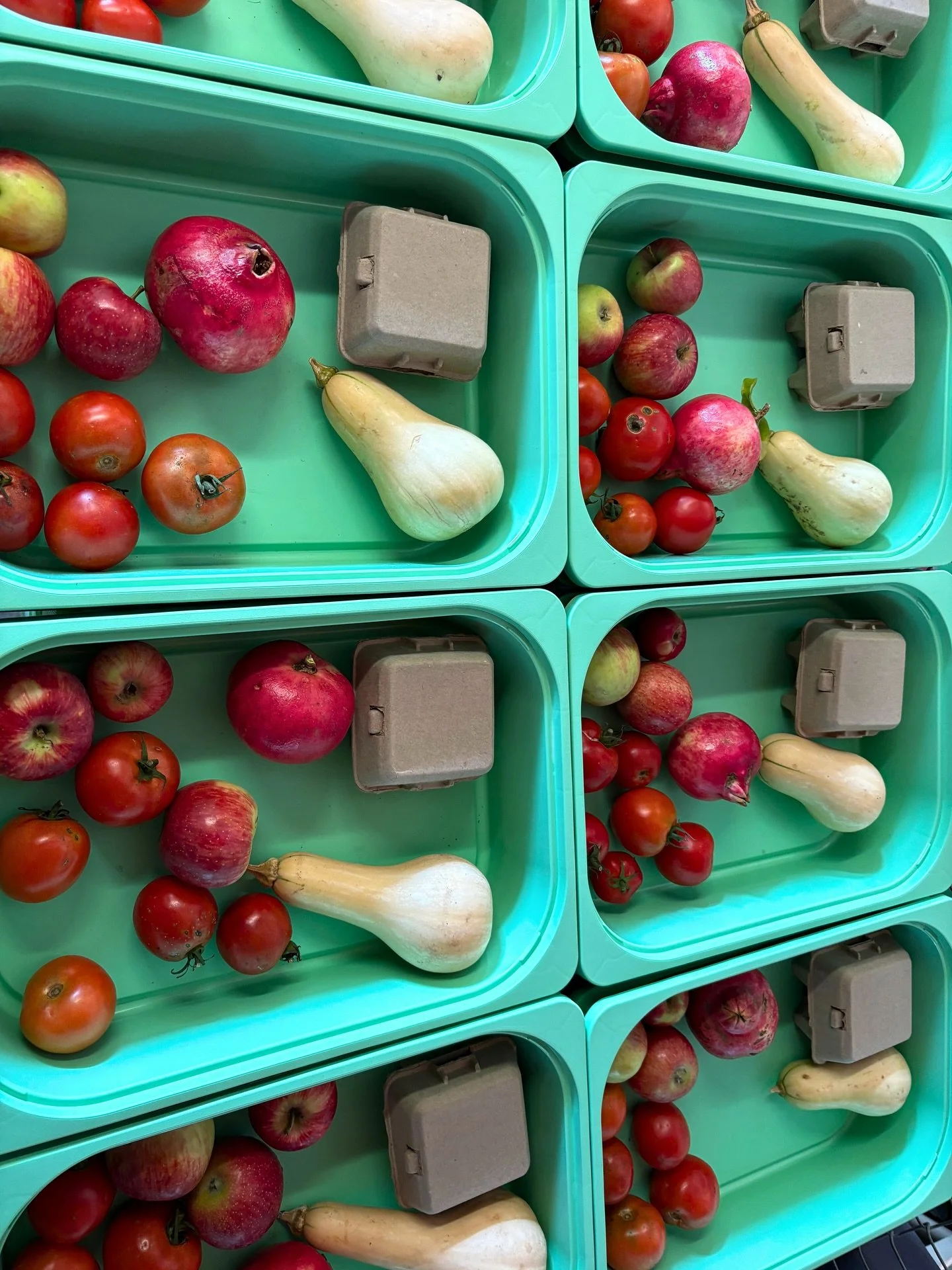 Want to be a part of the behind-the-scenes fun that goes into packing and distributing our CSA Boxes? Our &ldquo;Barn Owl&rdquo; volunteer shifts are available for sign up on our website now. This is a particularly fun opportunity because not only do
