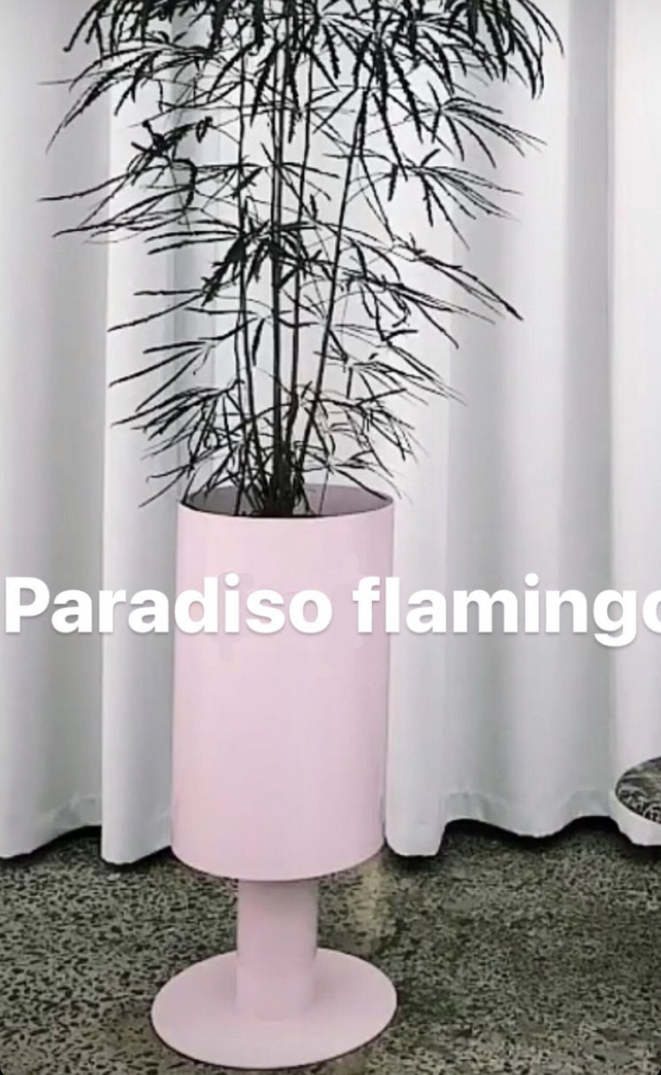 pink-planter-studio-ciao.jpg