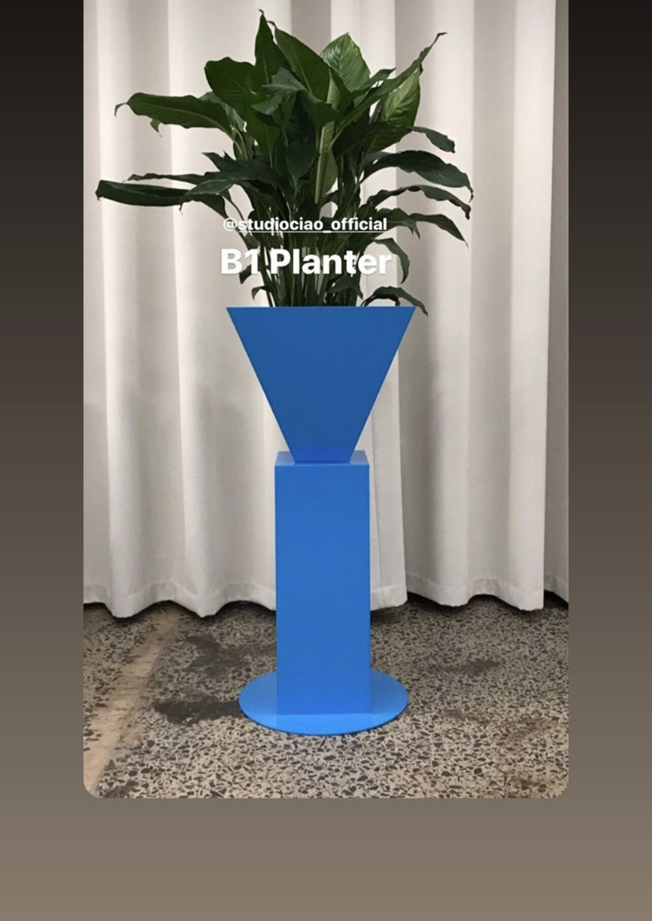 B1-PLANTER.jpg