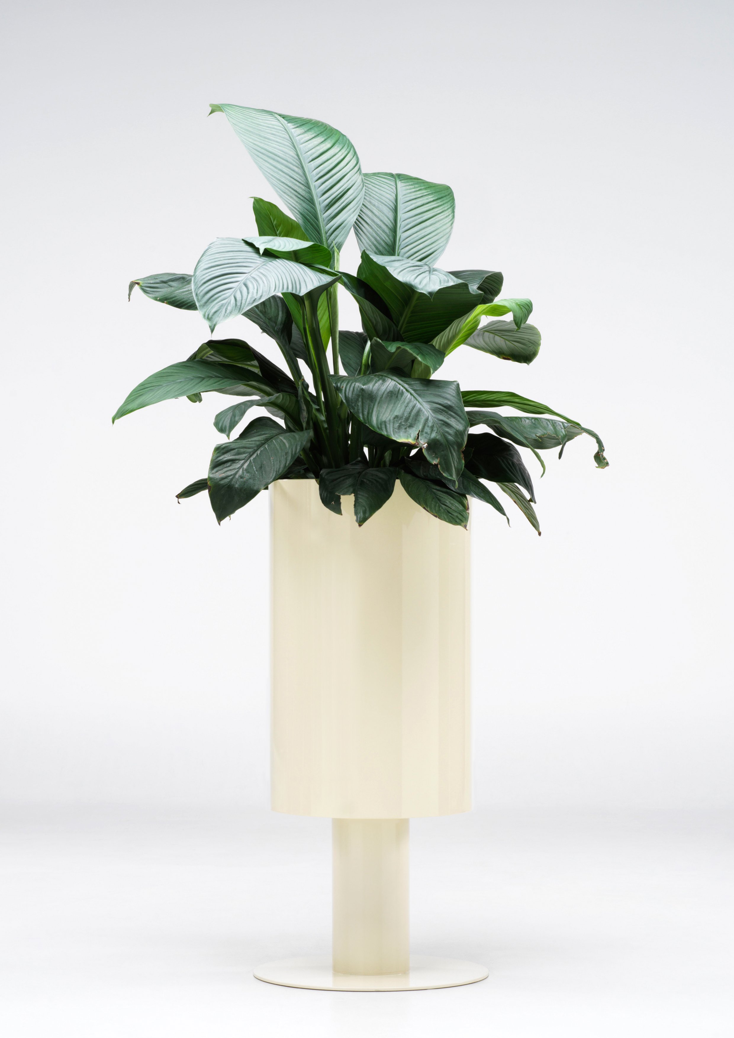 B2-STUDIO-CIAO-PLANTER.jpg