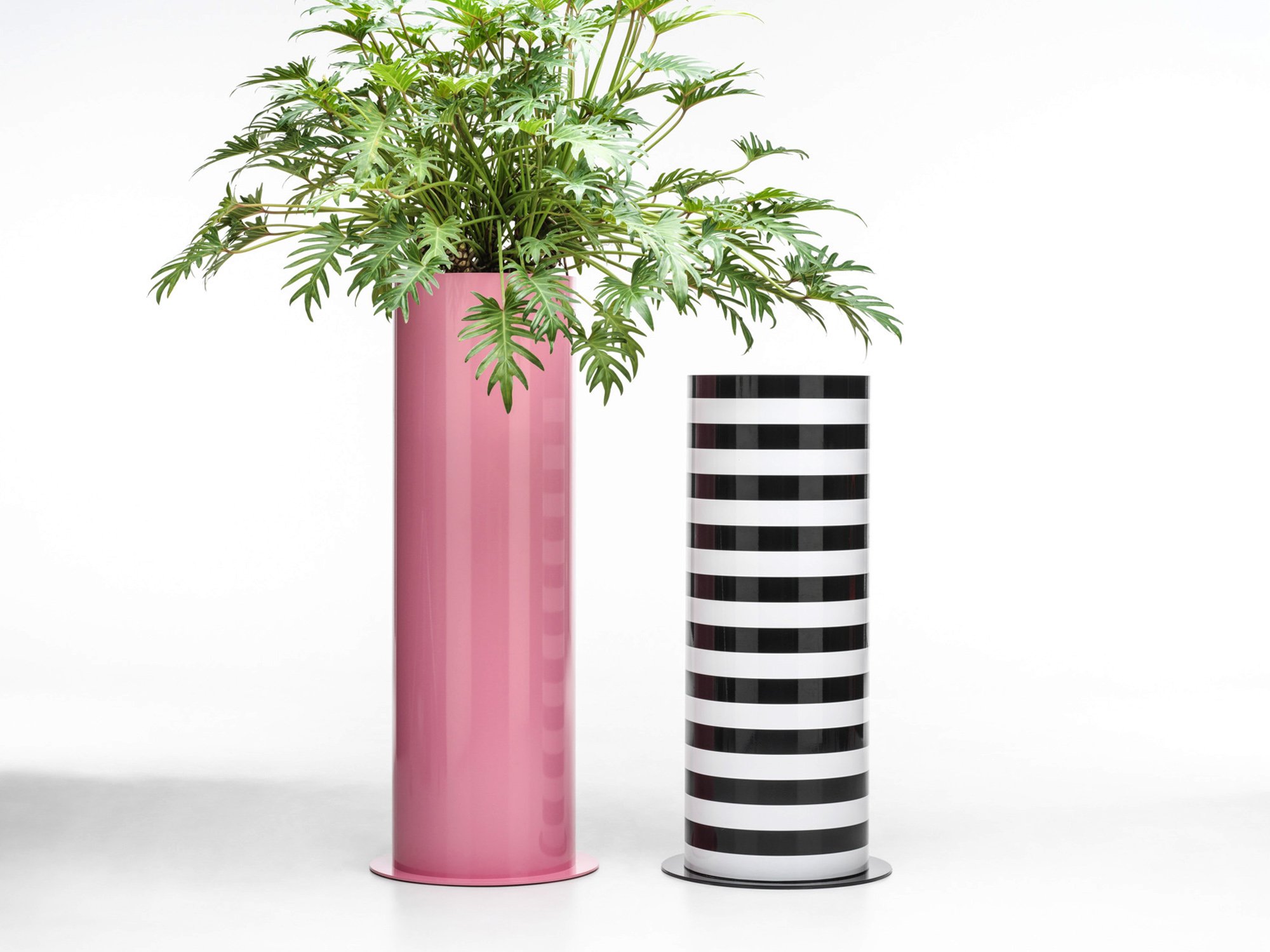 b4-planters-stripes-blackandwhite-pink-studiociao-ciao-b4stripes.jpg