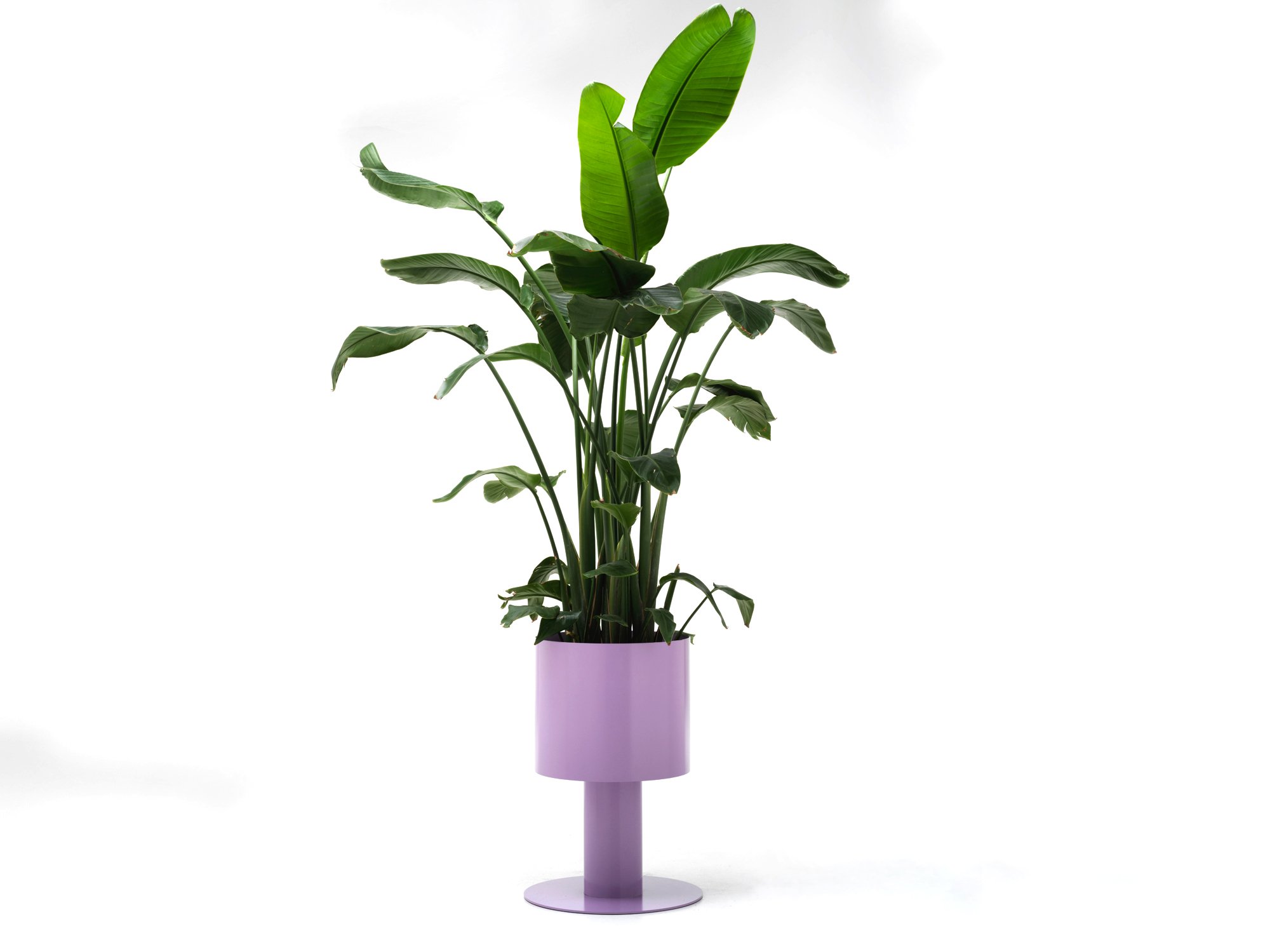 b6-studiociao-ciao-planters-polished-stainlesssteel.jpg