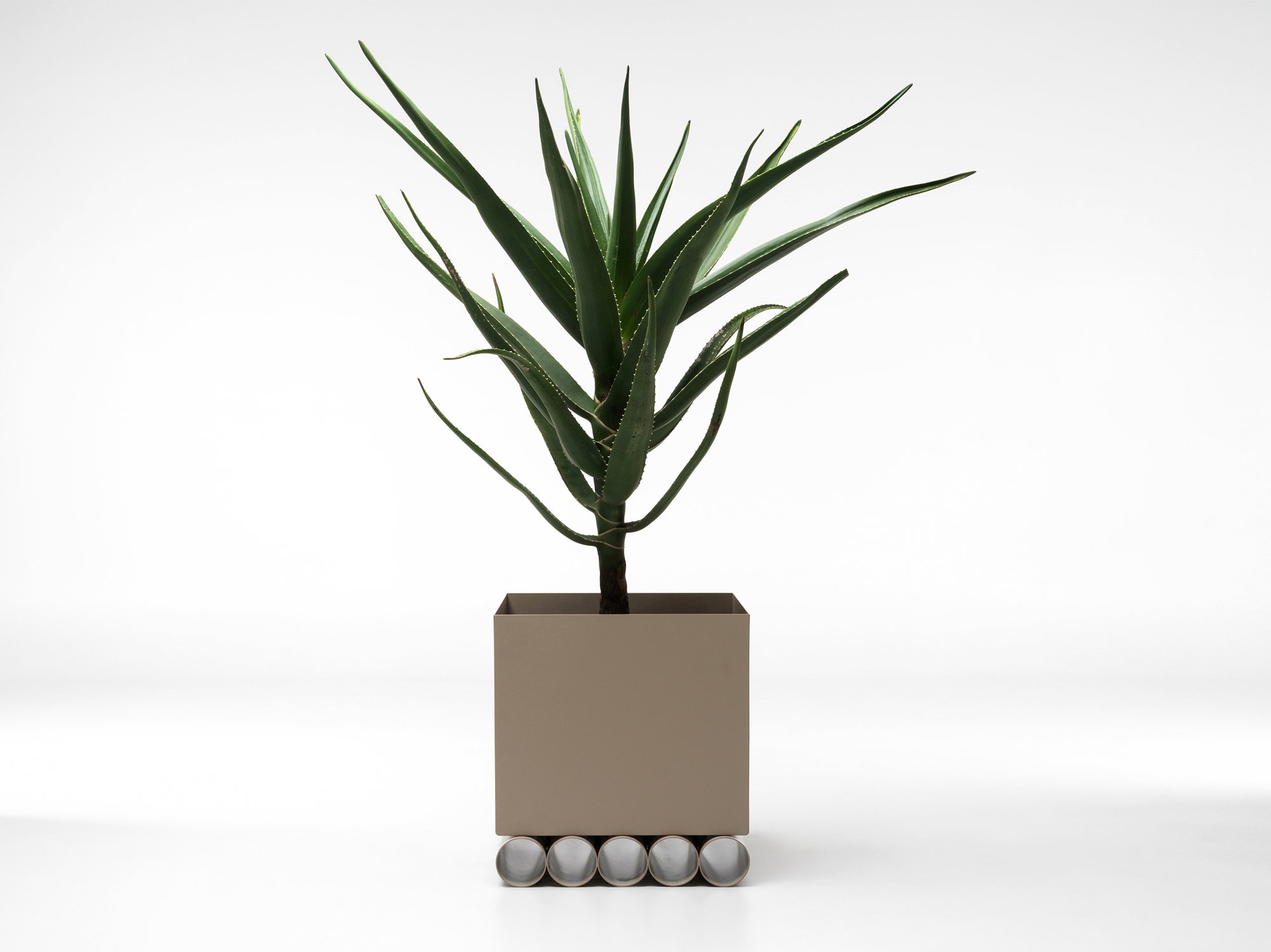 b7-aloe-planter-indoorplants-studiociao-ciao-planters.jpg