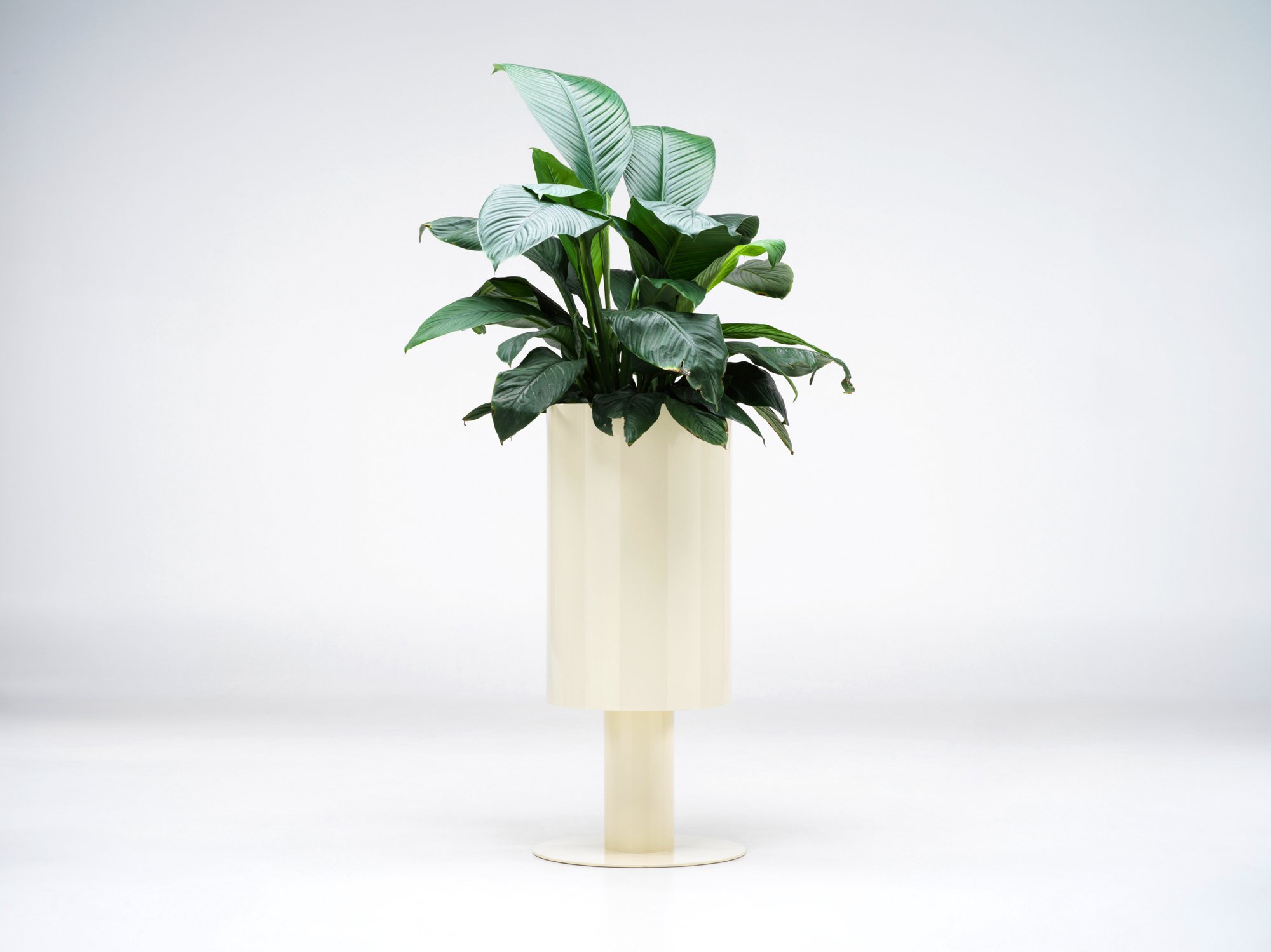 studiociao-ciao-b2-cream-planters.jpg