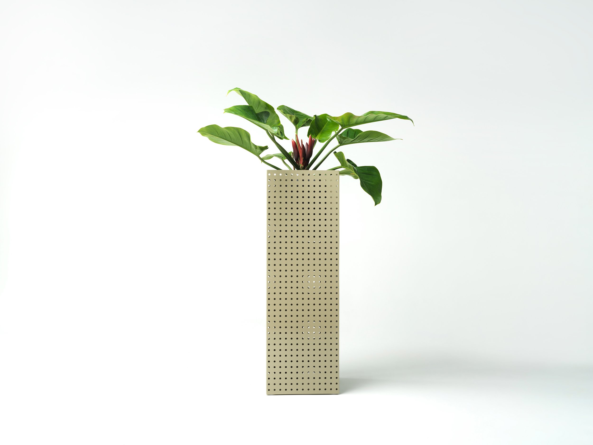 studiociao-ciao-b11-perforated-indoorplants.jpg