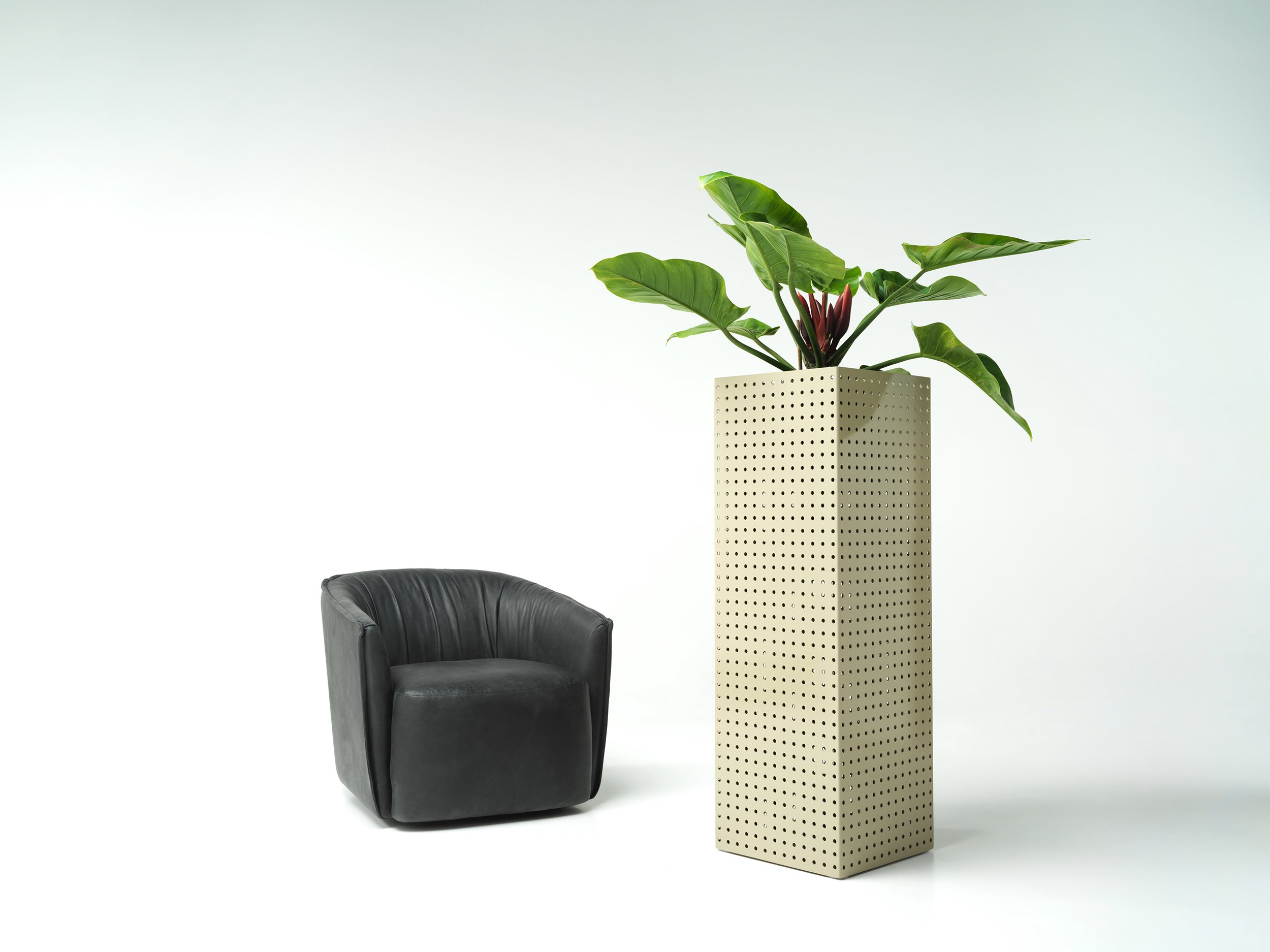 studiociao-ciao-b11-perforated-indoorplant.jpg