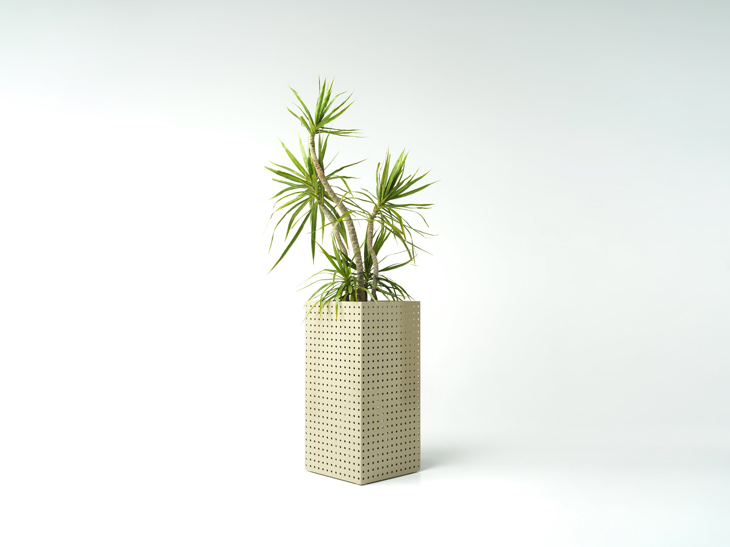 studiociao-ciao-b12-perforated-indoorplant.jpg