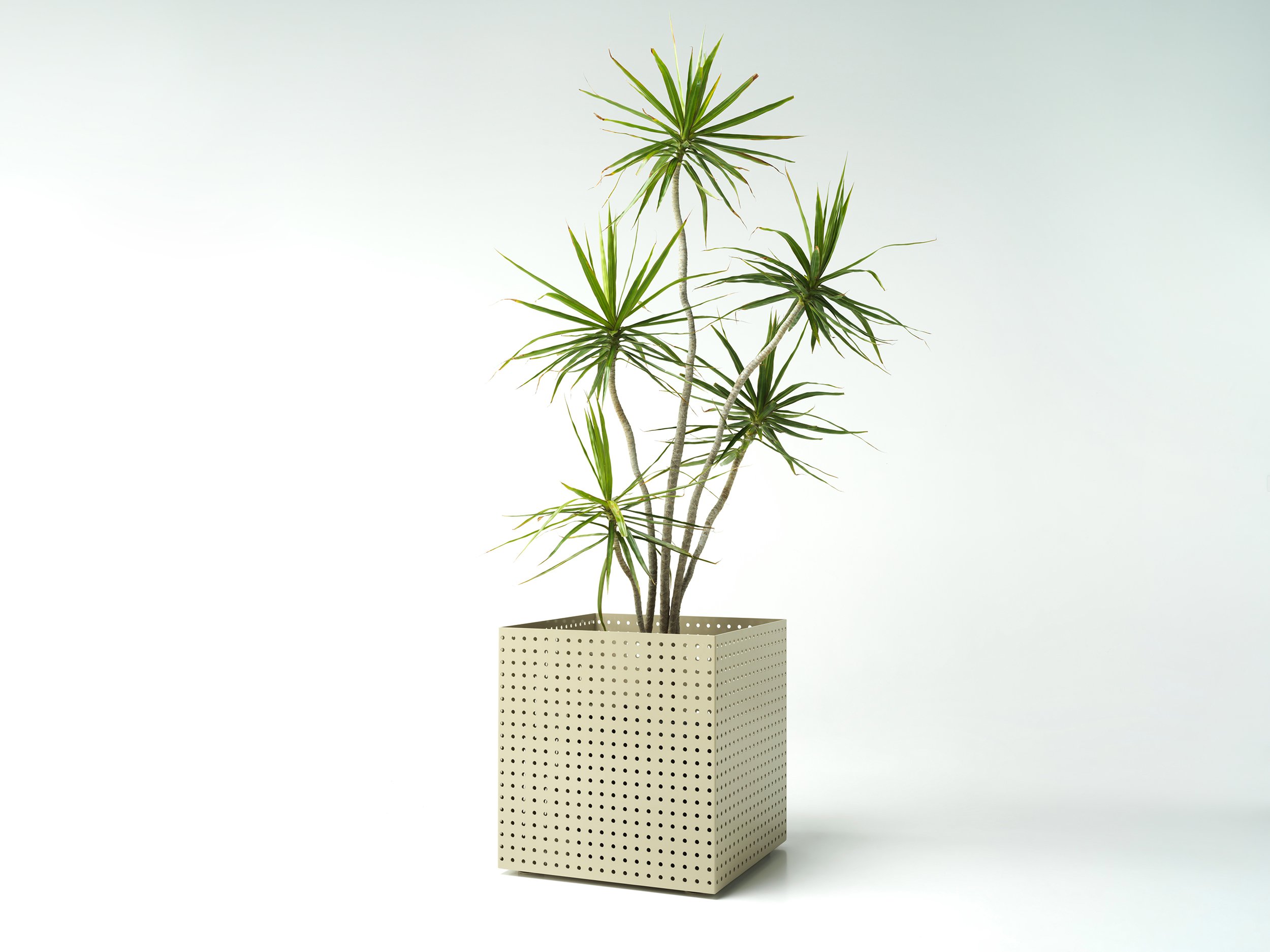studiociao-ciao-b13-perforatedvessel-indoorplants.jpg