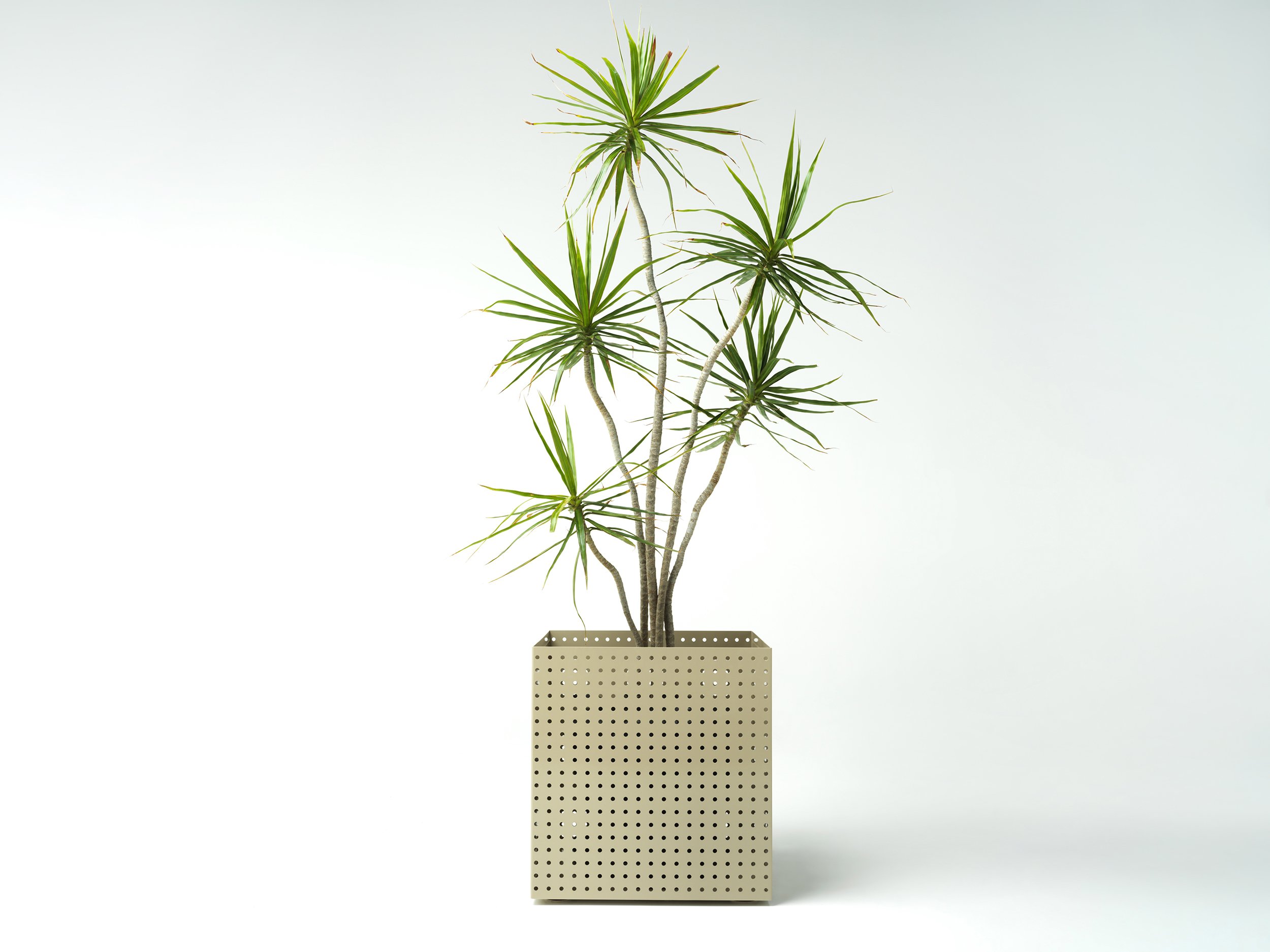 studiociao-ciao-b13-perforated-indoor-plants.jpg