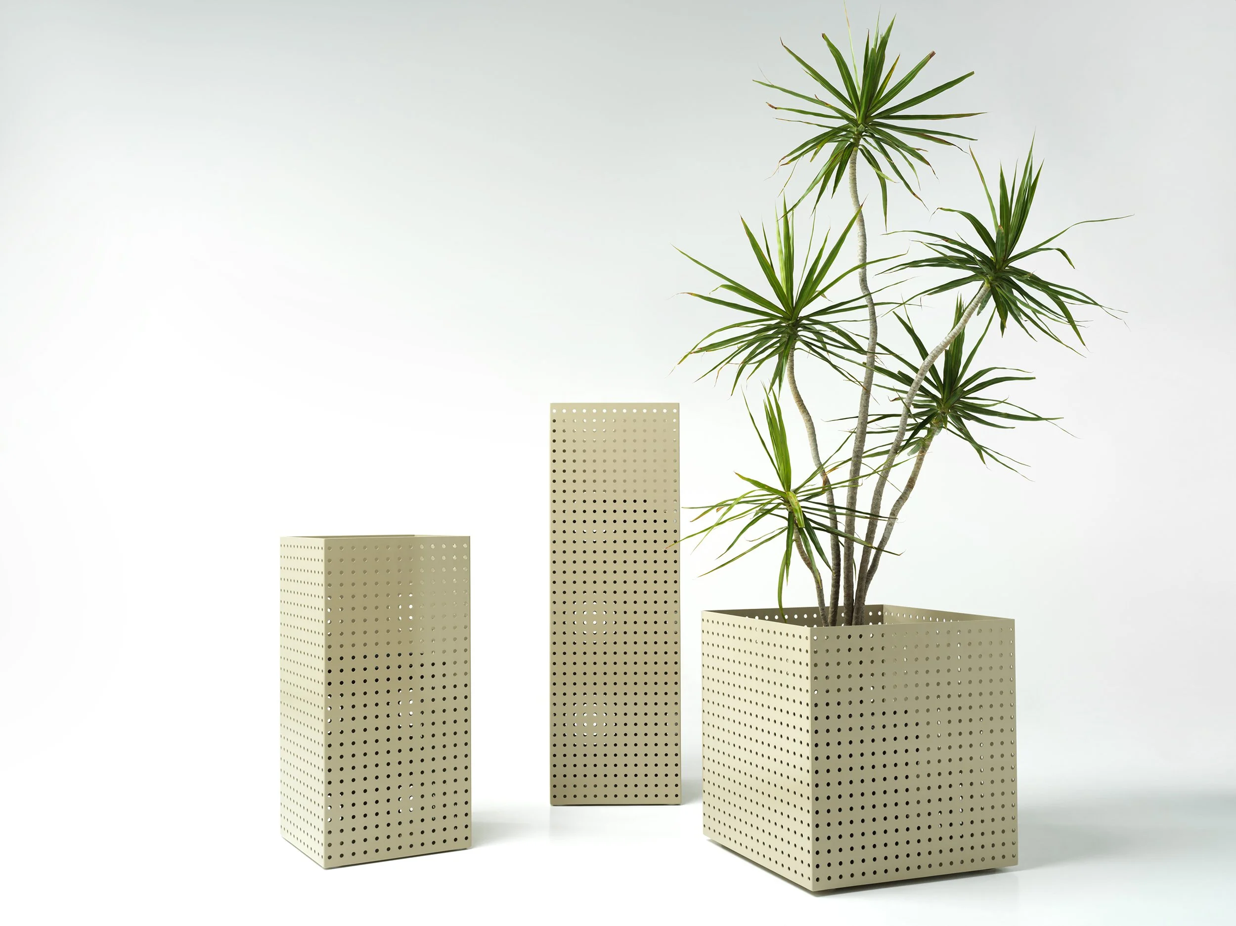 studiociao-ciao-b13-b12-b11-perforated-indoor-plants.jpg