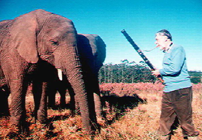 elephant.jpg